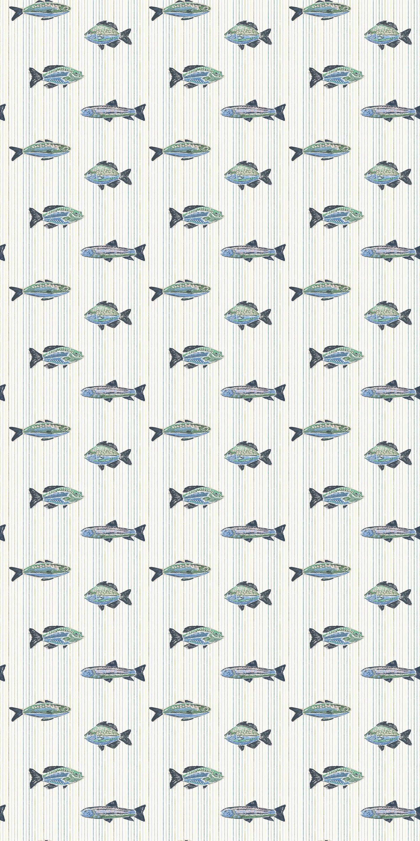 School of Stripes