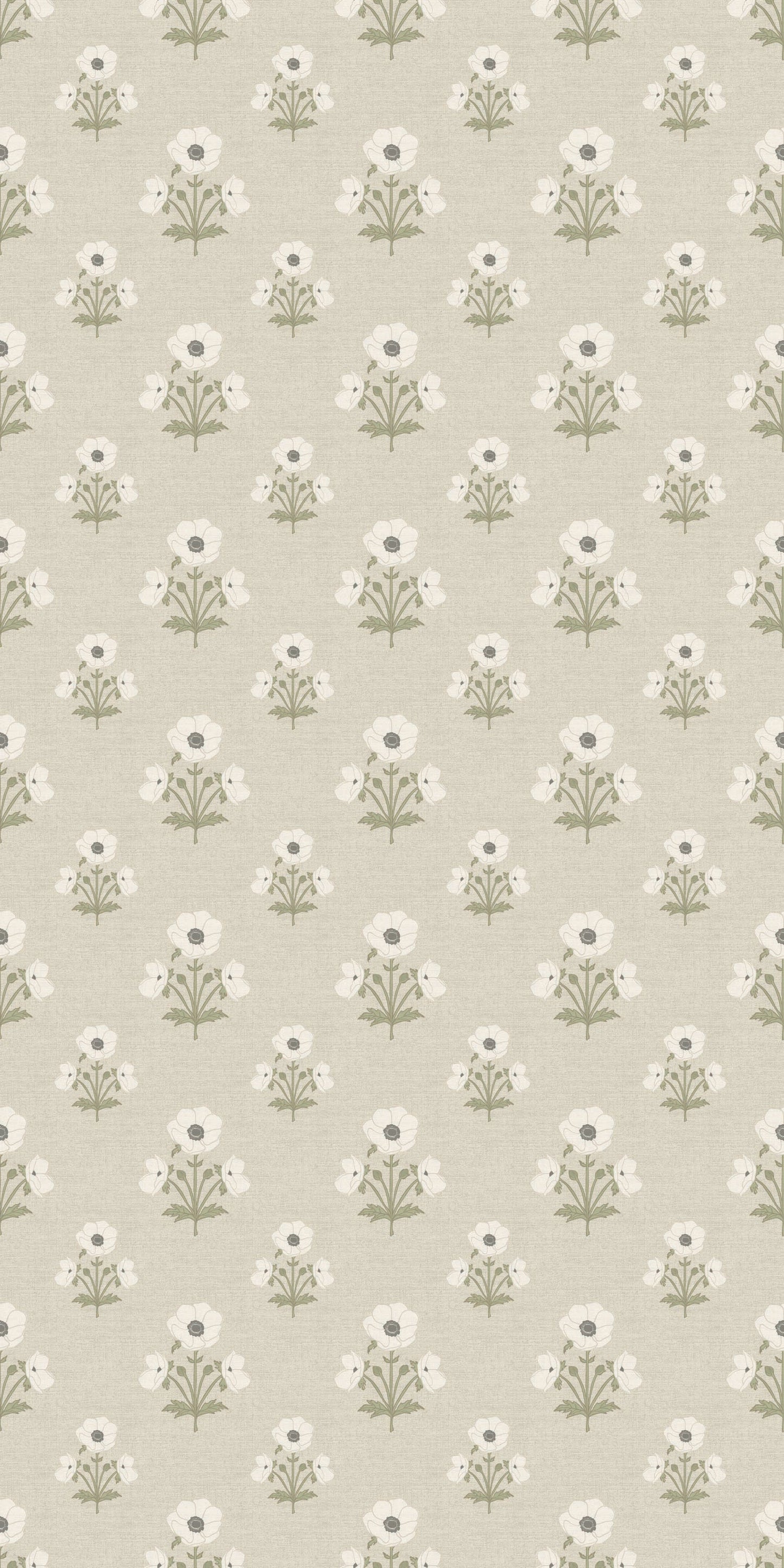 Windflower