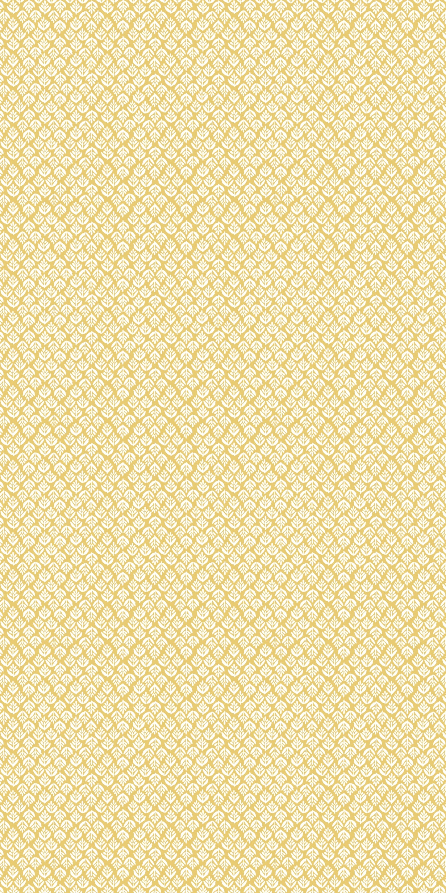 Jaipur