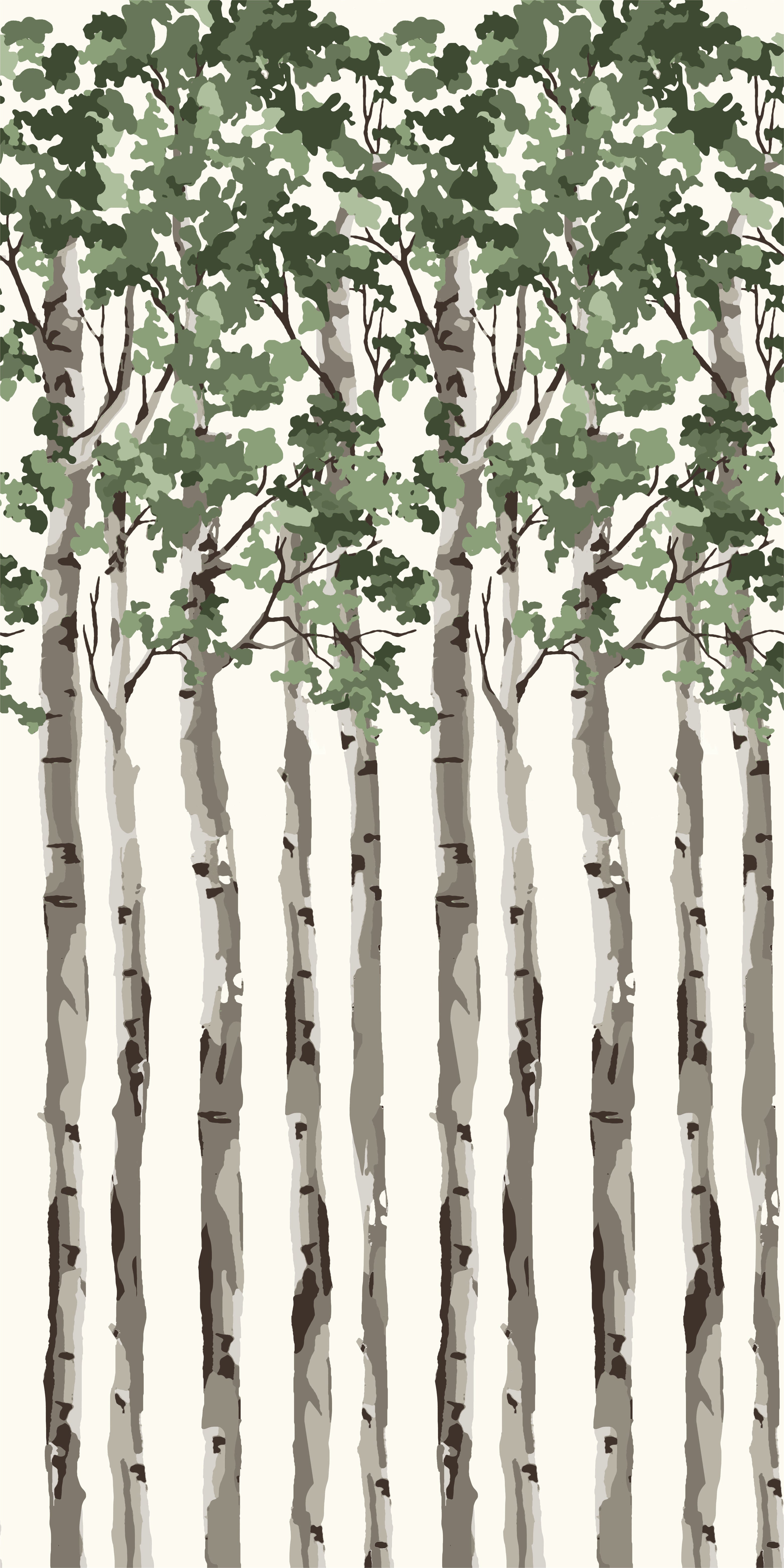 Birch Tree in Green color