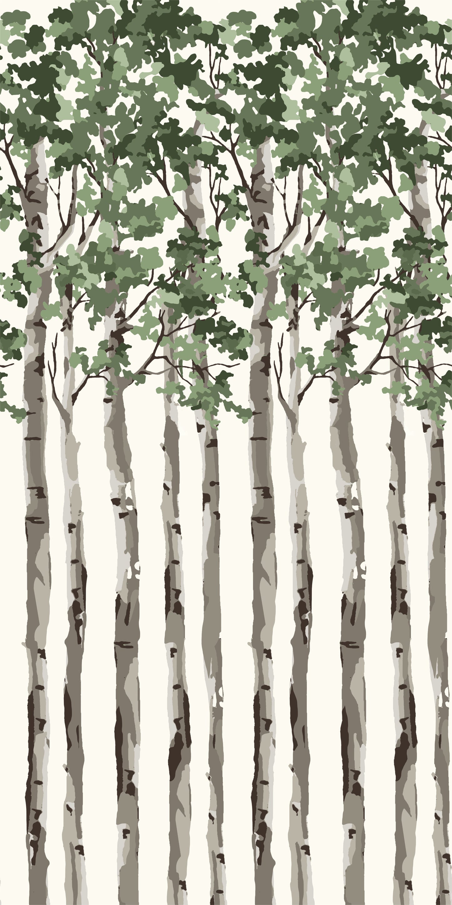 Birch Tree