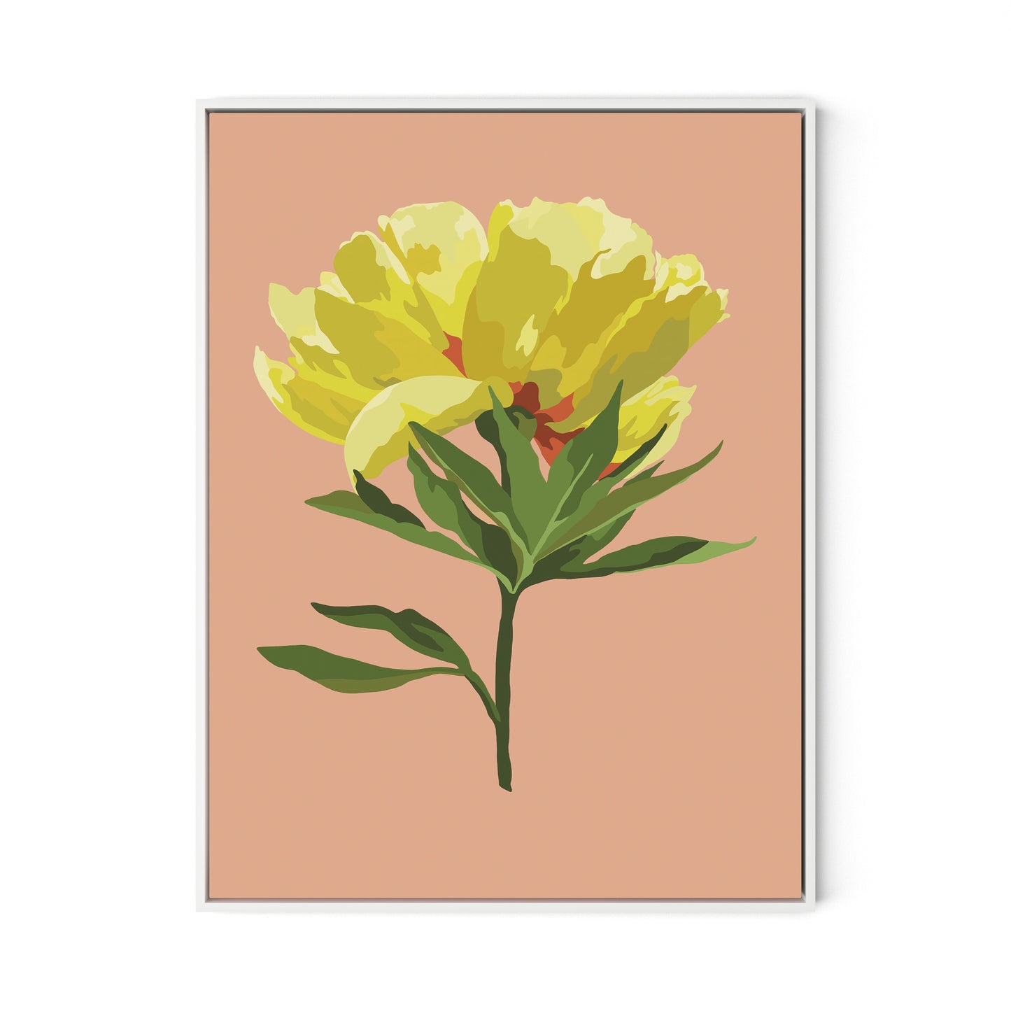 Peony