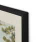 Summer Passage with border Canvas Floater Framed / 32 x 24 in / Black