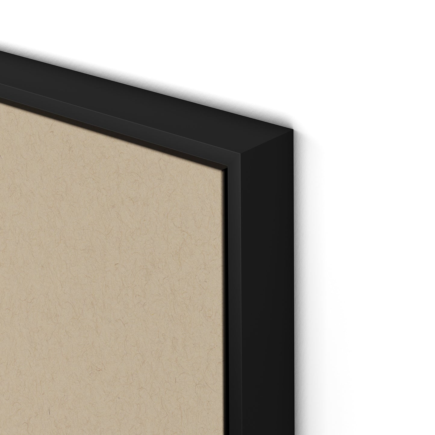 Botanical IV Canvas Floater Framed / 24 x 32 in / Black