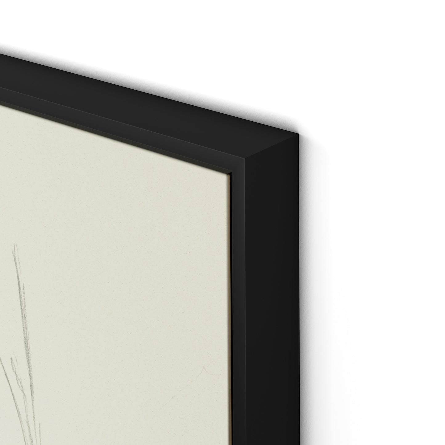 Barn and Tire Swing Canvas Floater Framed / 24 x 32 in / Black
