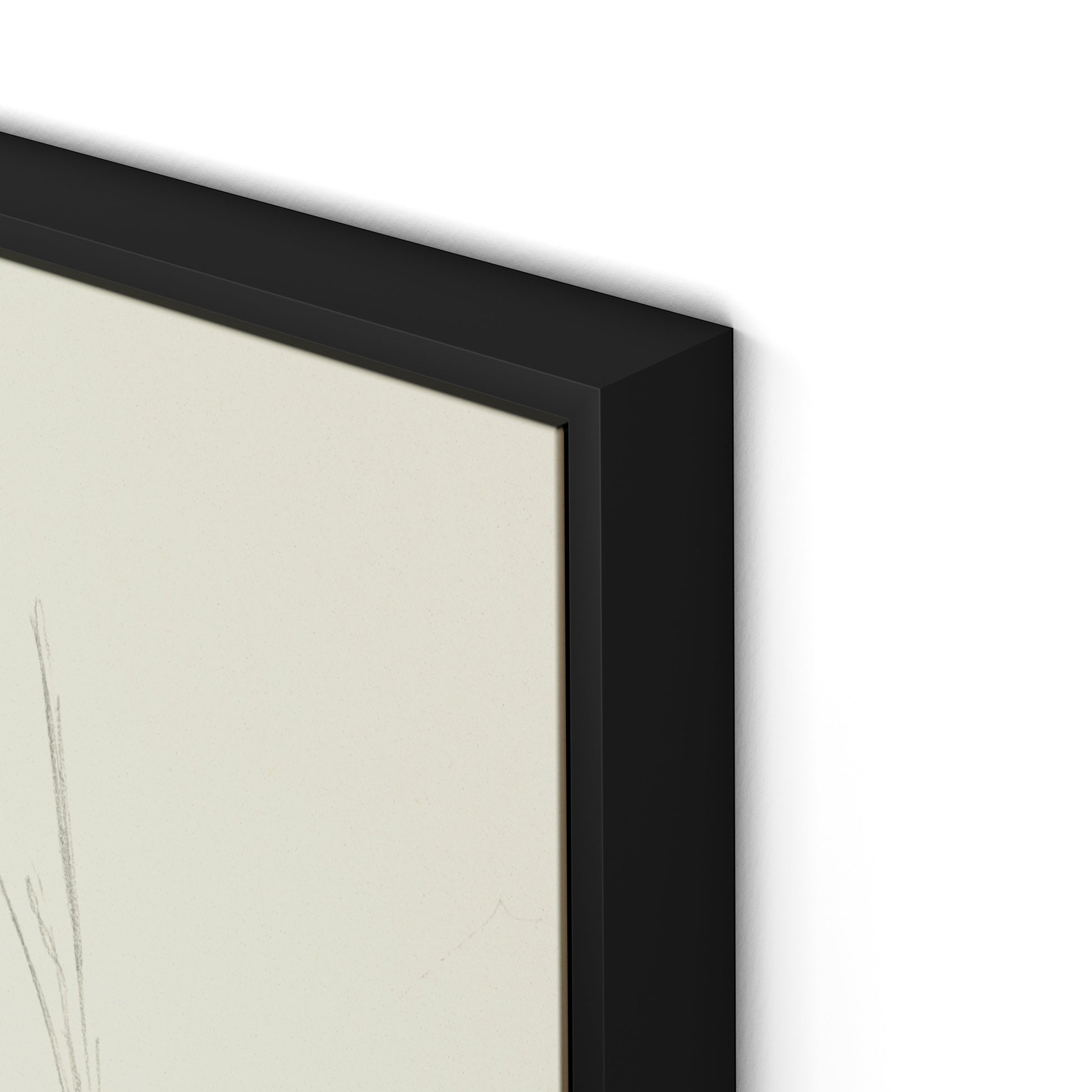 Barn and Tire Swing Canvas Floater Framed / 24 x 32 in / Black
