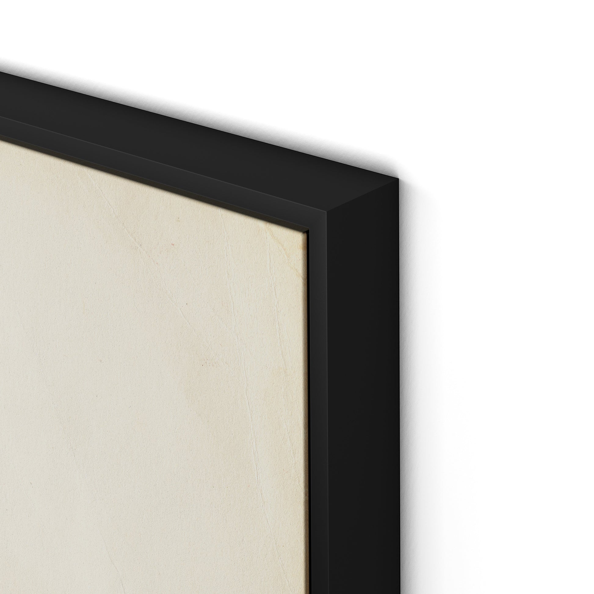 Meadow Rue 2 Canvas Floater Framed / 24 x 32 in / Black