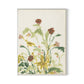 Meadow Rue 2 Canvas Floater Framed / 24 x 32 in / White