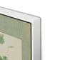 Sage Meadow Rue II Canvas Floater Framed / 21.5 x 32 in / White