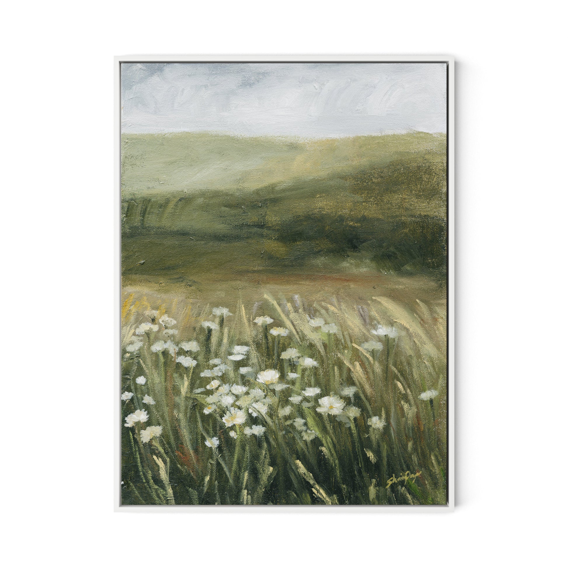 Daisy Field Canvas Floater Framed / 24 x 32 in / White
