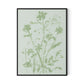 Sage Cosmos Canvas Floater Framed / 24 x 32 in / Black