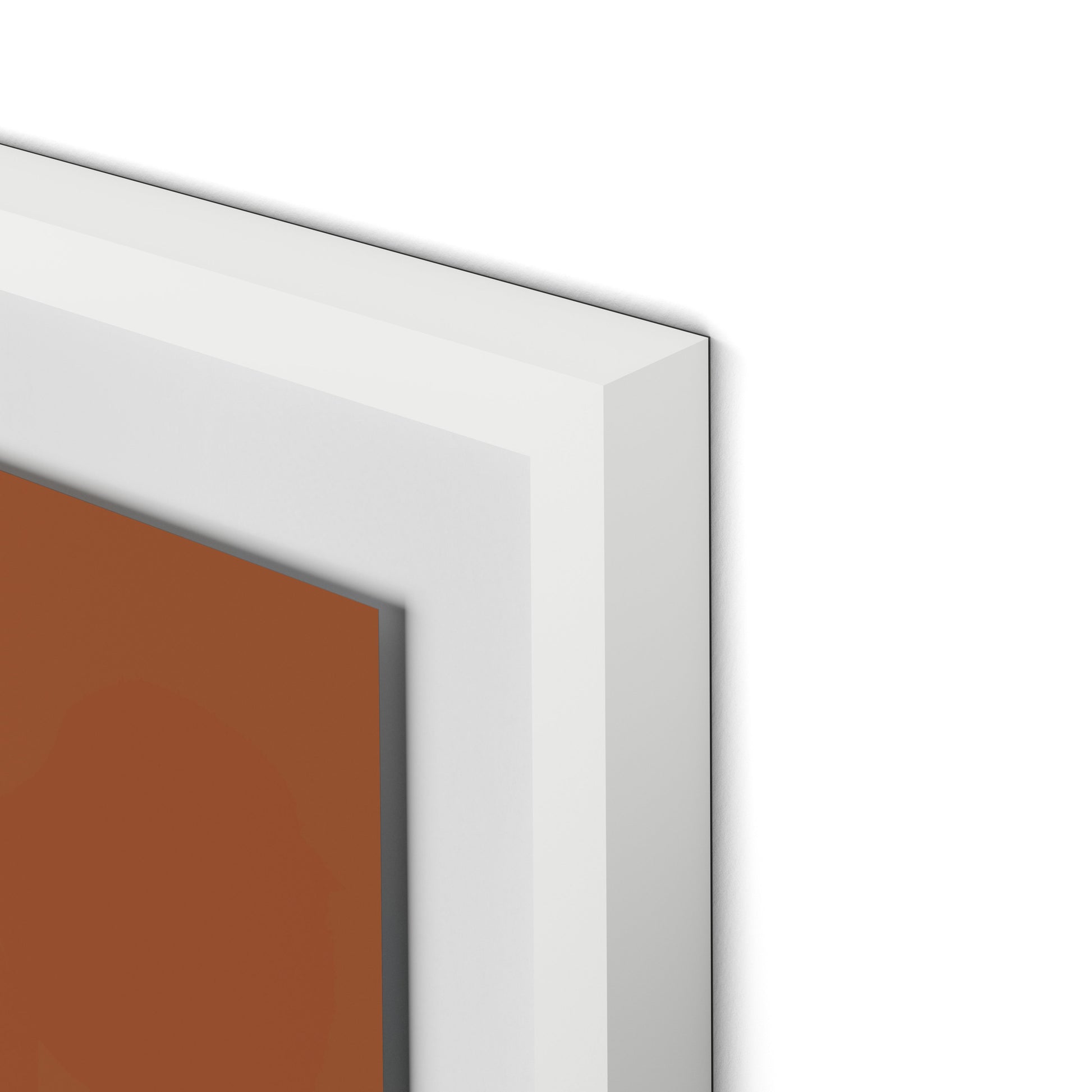 Dracaena Terracotta Framed Paper / 32 x 32 in / White