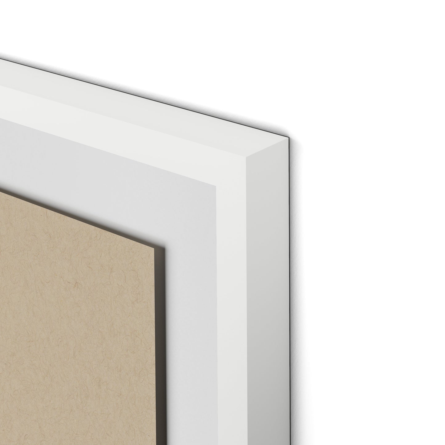 Botanical II Framed Paper / 24 x 32 in / White