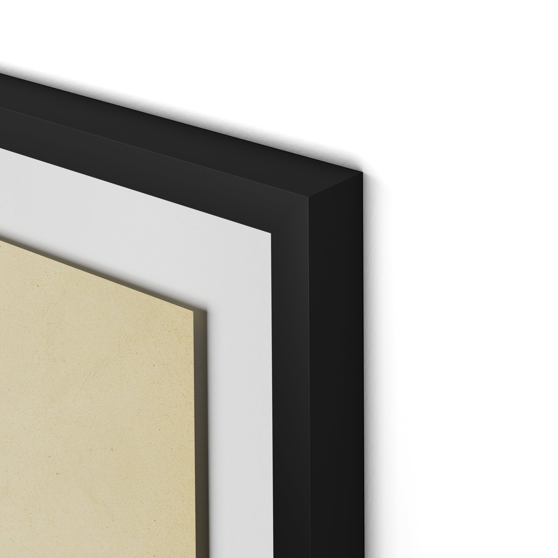 Indigo Meadow Rue Framed Paper / 27 x 32 in / Black
