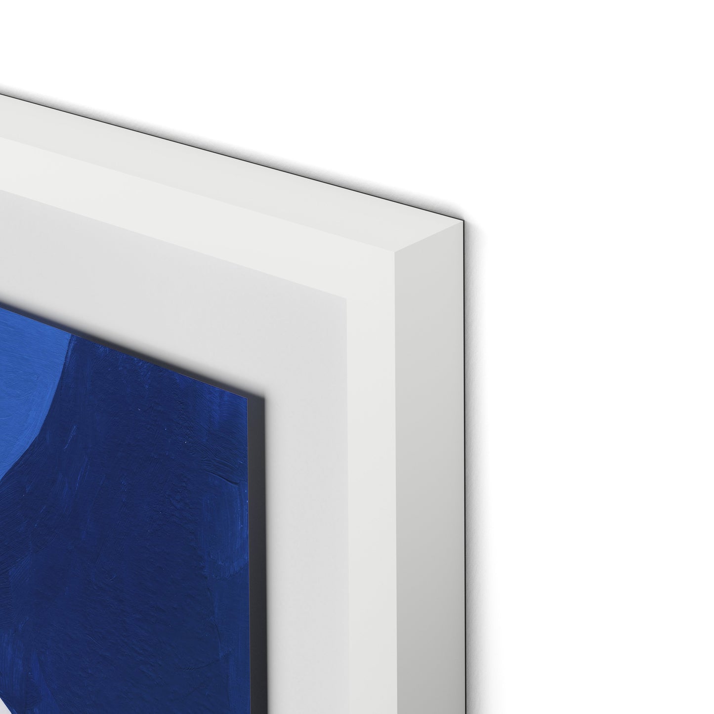 Gallinule No. 6 Framed Paper / 26 x 32 in / White