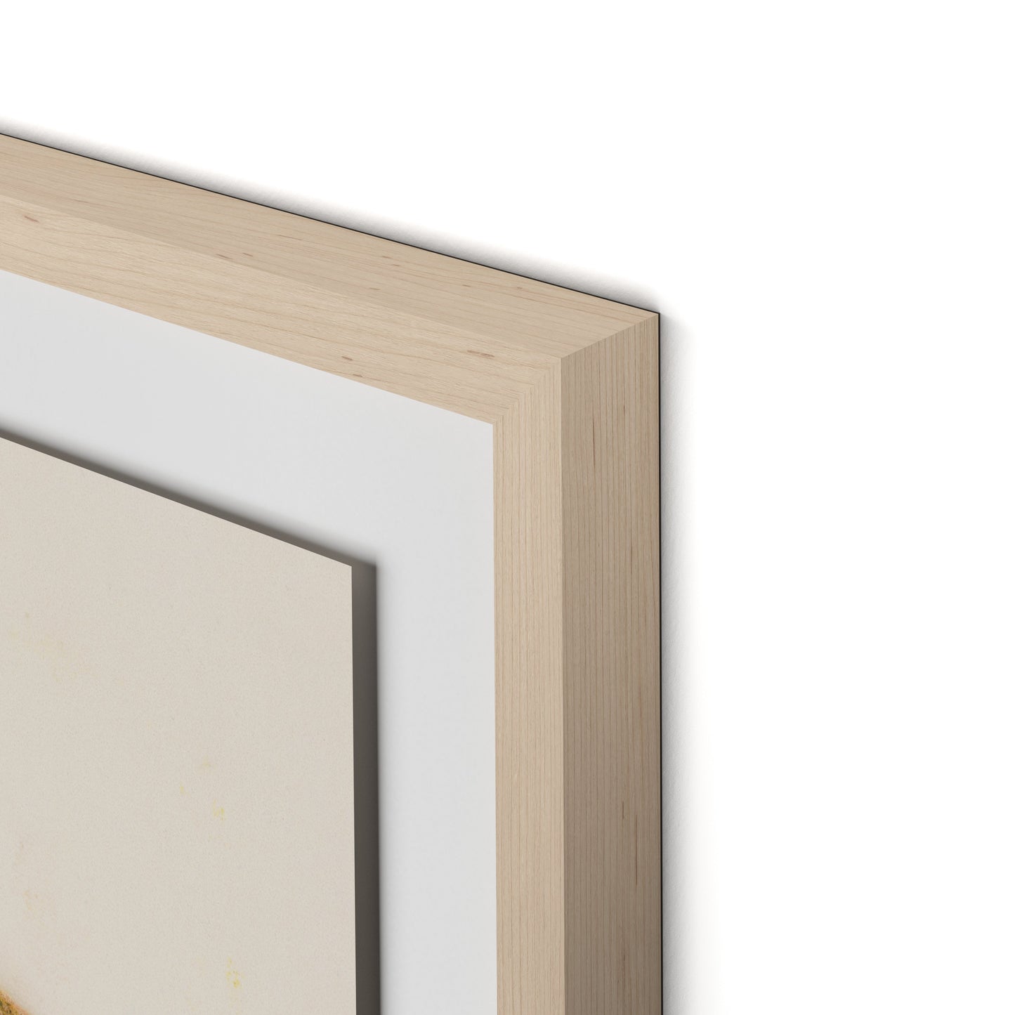 Pink Alpine Flax Framed Paper / 24 x 32 in / Natural Maple