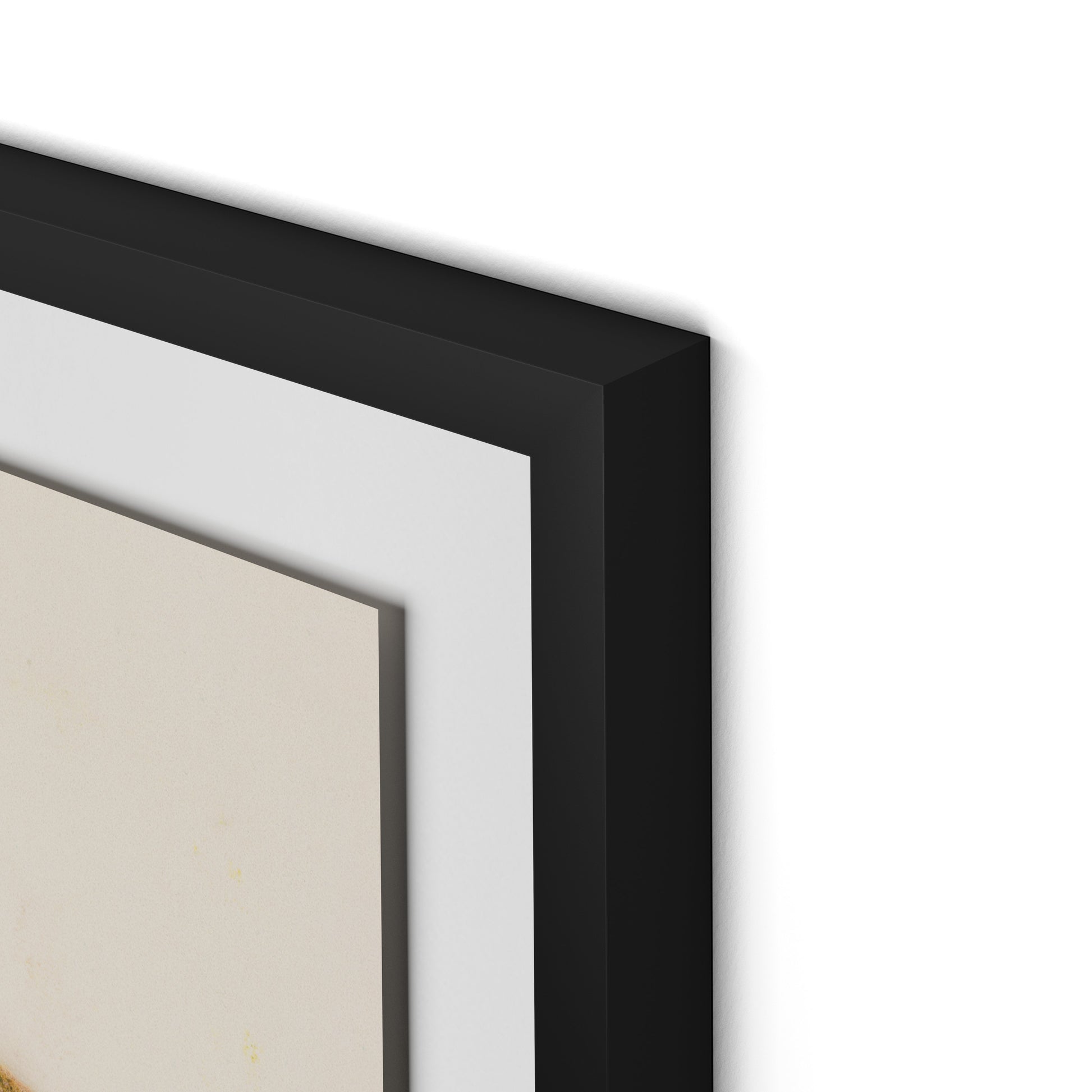 Pink Alpine Flax Framed Paper / 24 x 32 in / Black