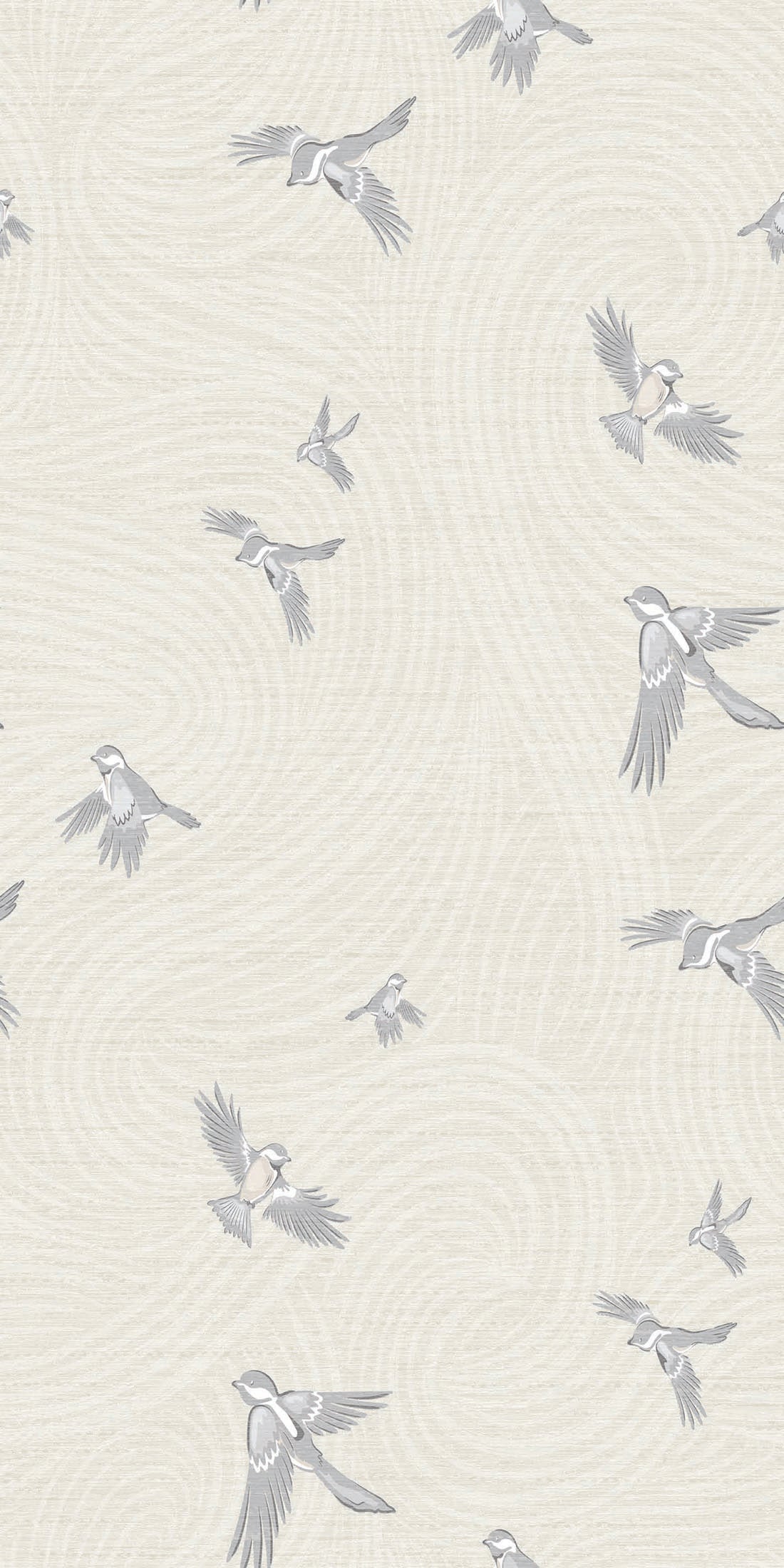 Chickadee Birds