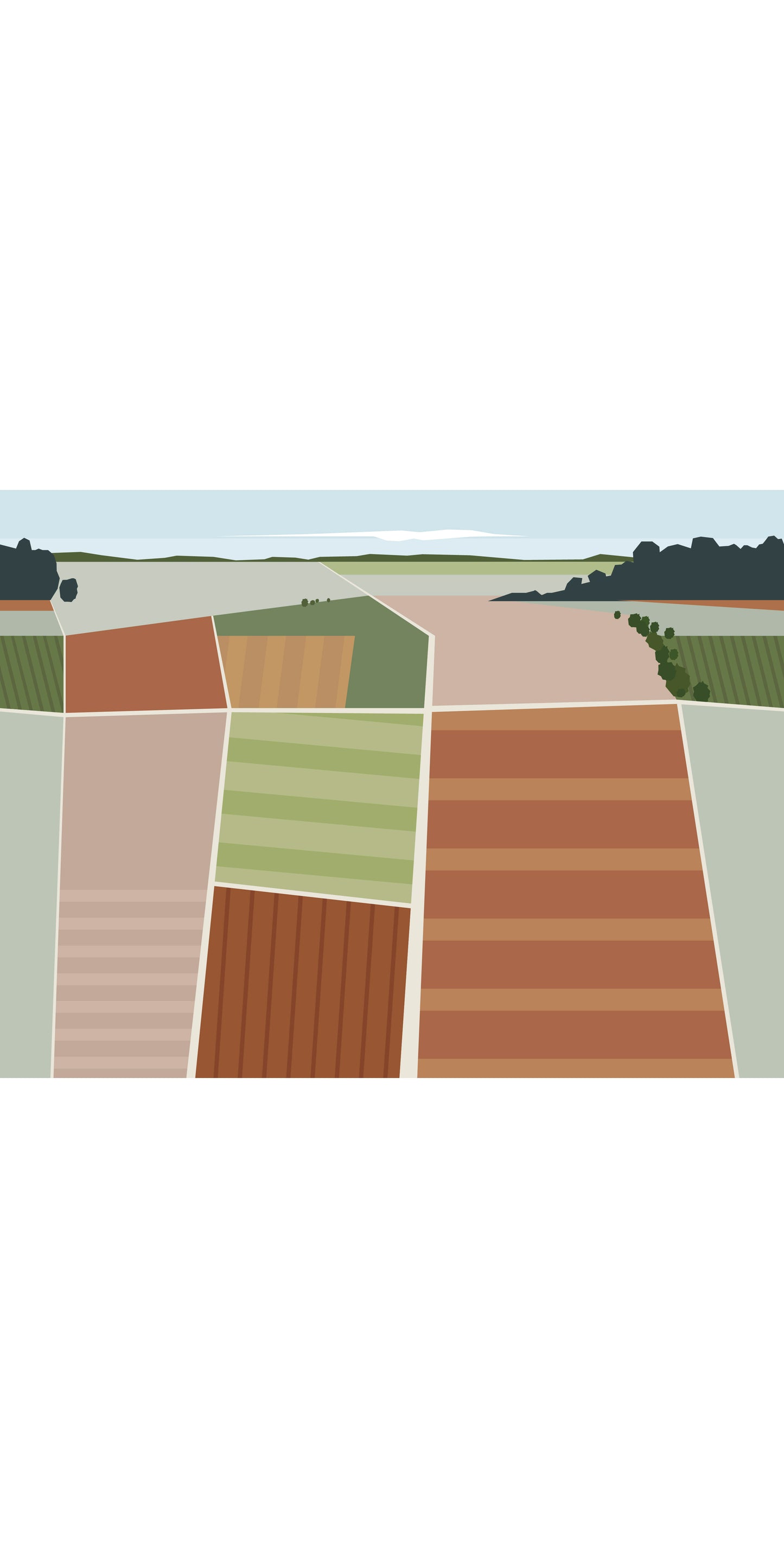 Harvest Quilt