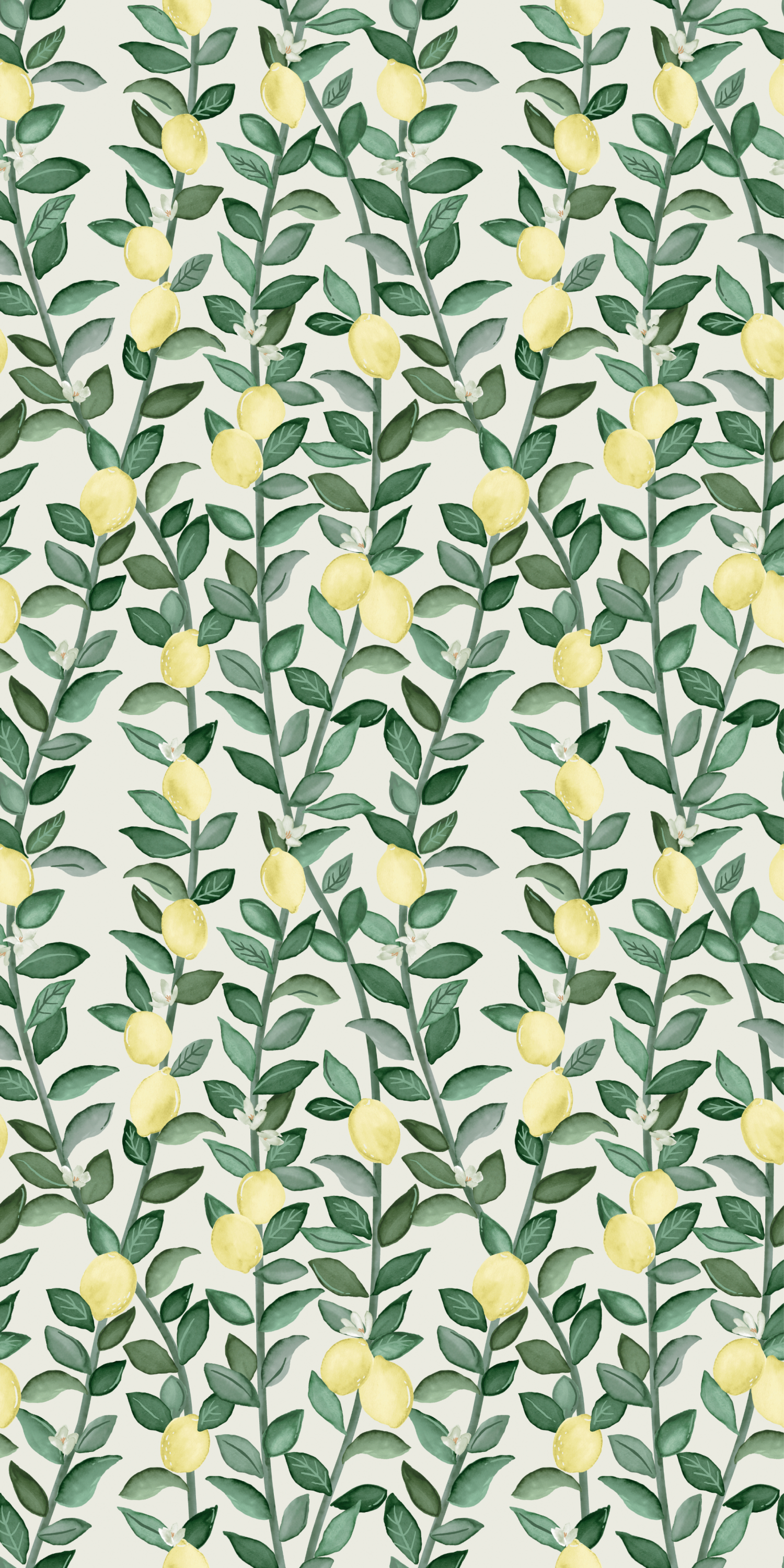 Lemons in Daytime color
