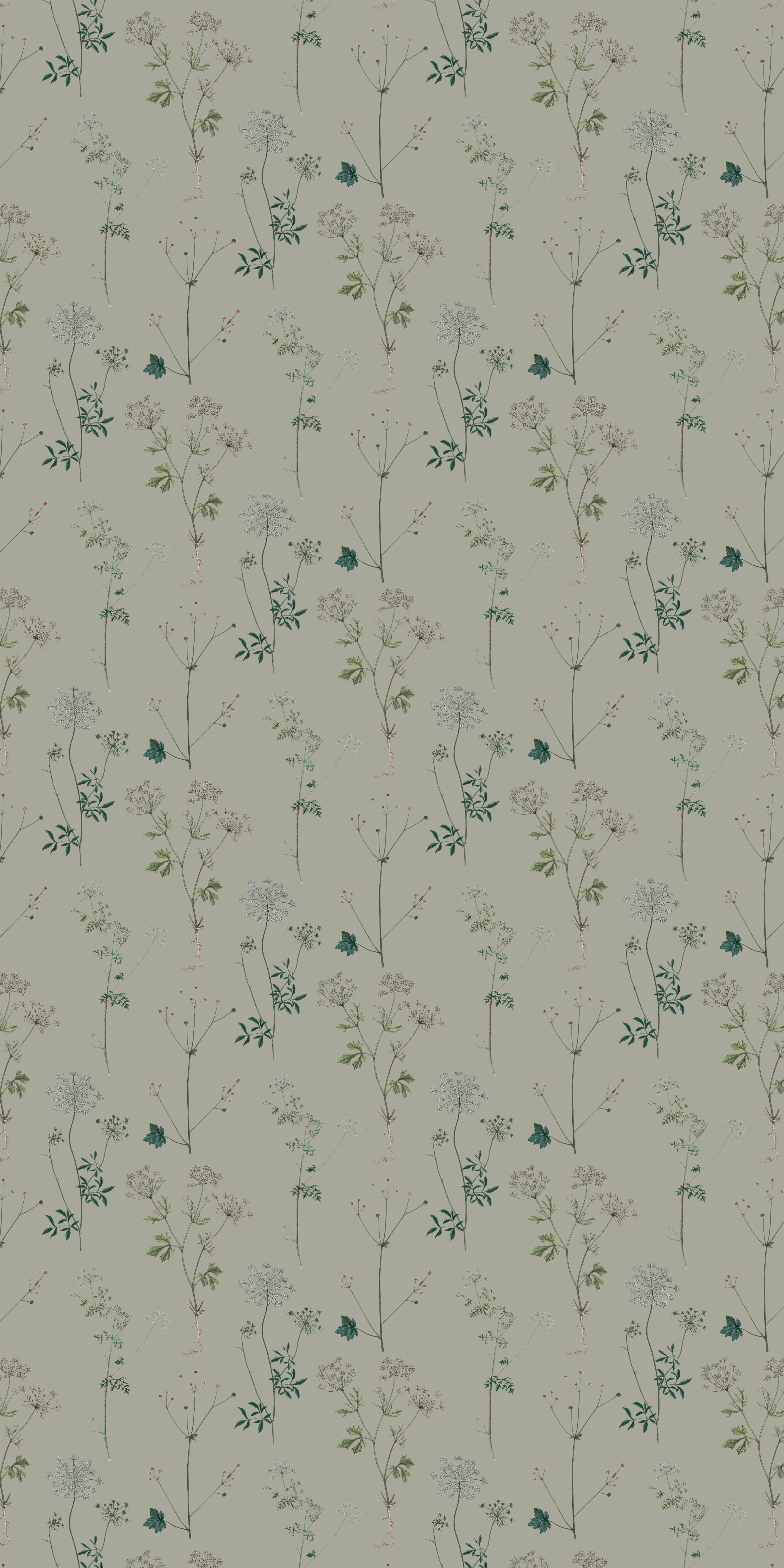 Lace in Sage color