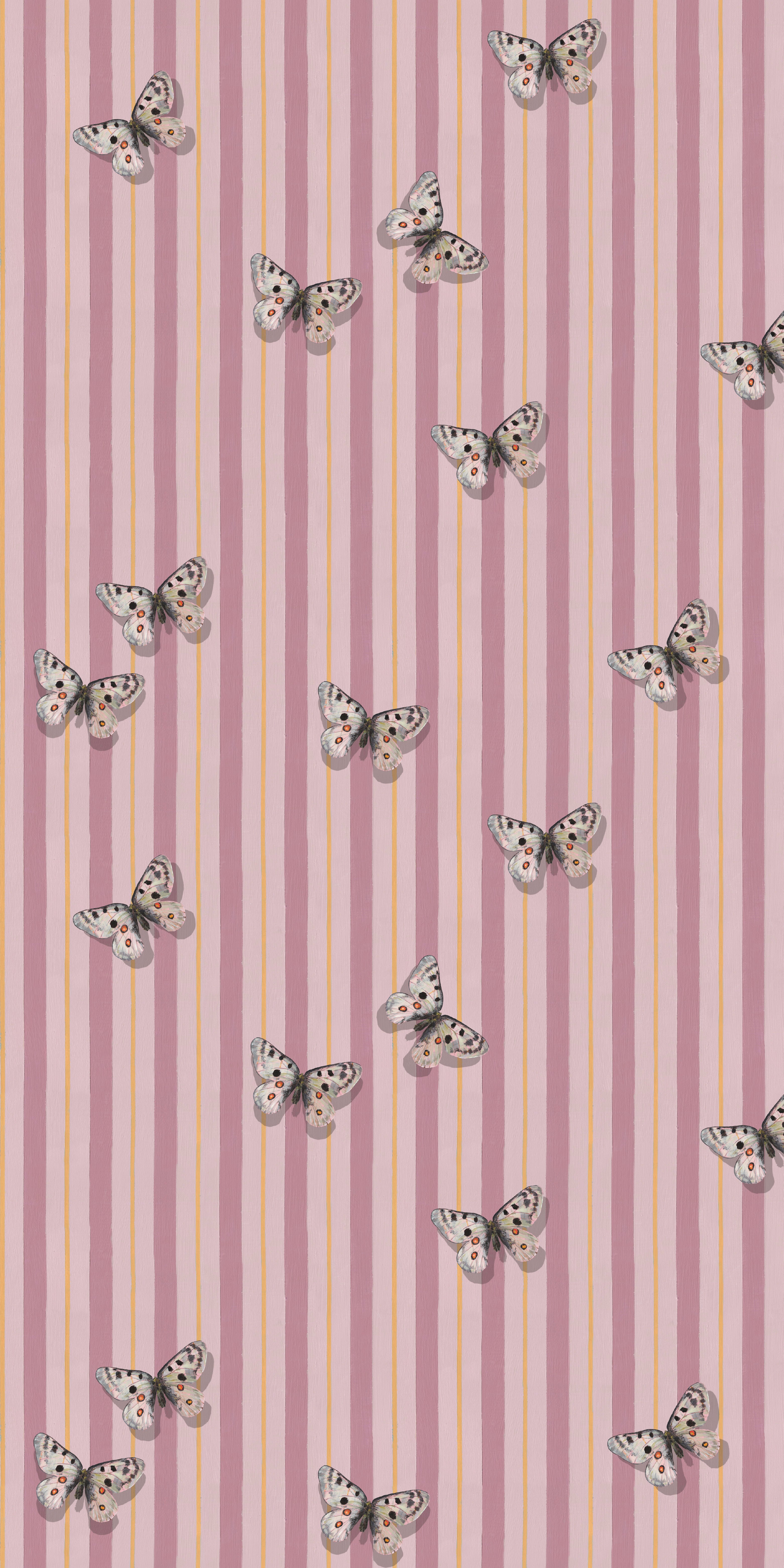 Mountain Apollo in Pink color