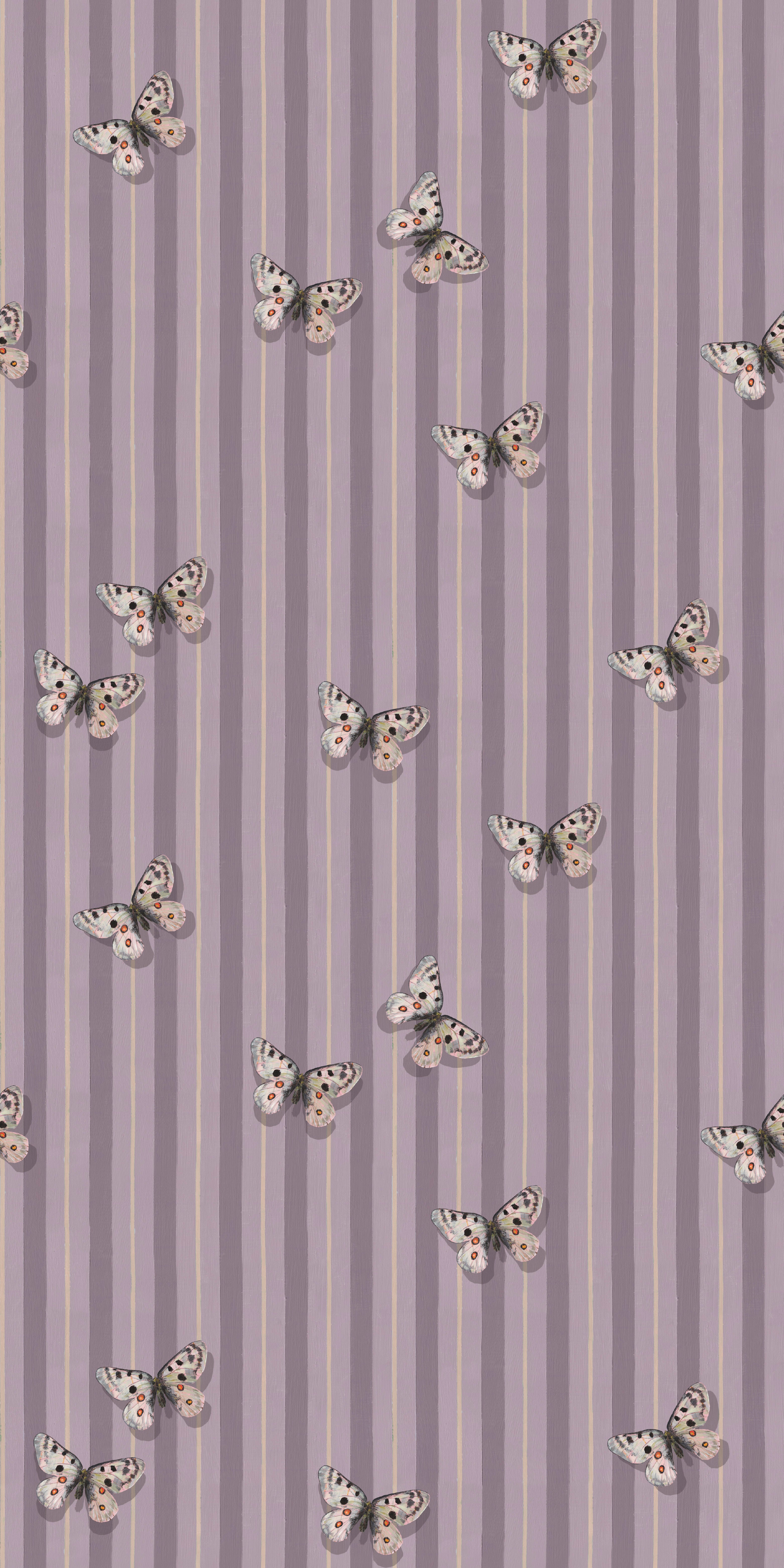 Mountain Apollo in Purple color