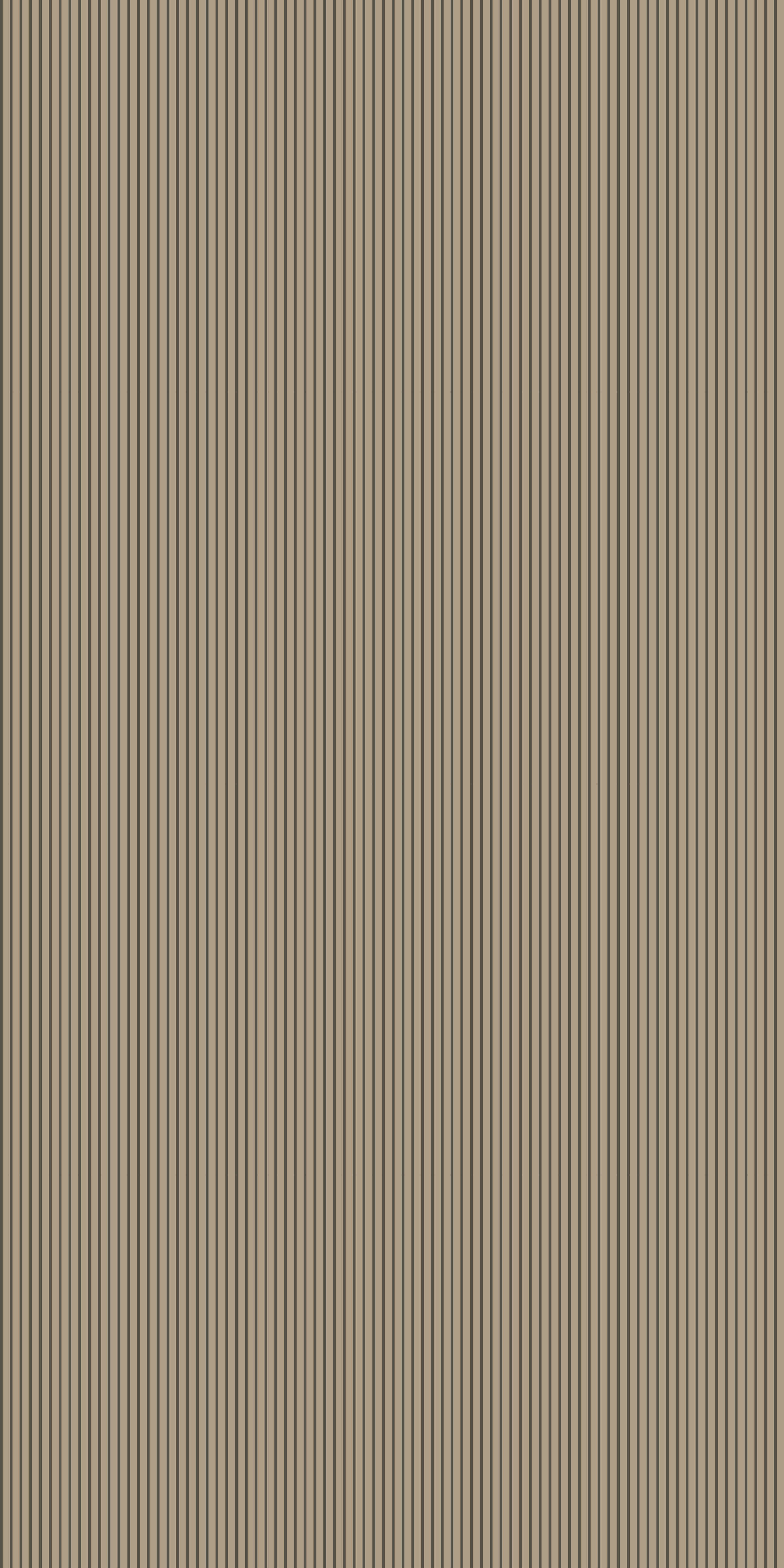 Rah Stripe in Earth color