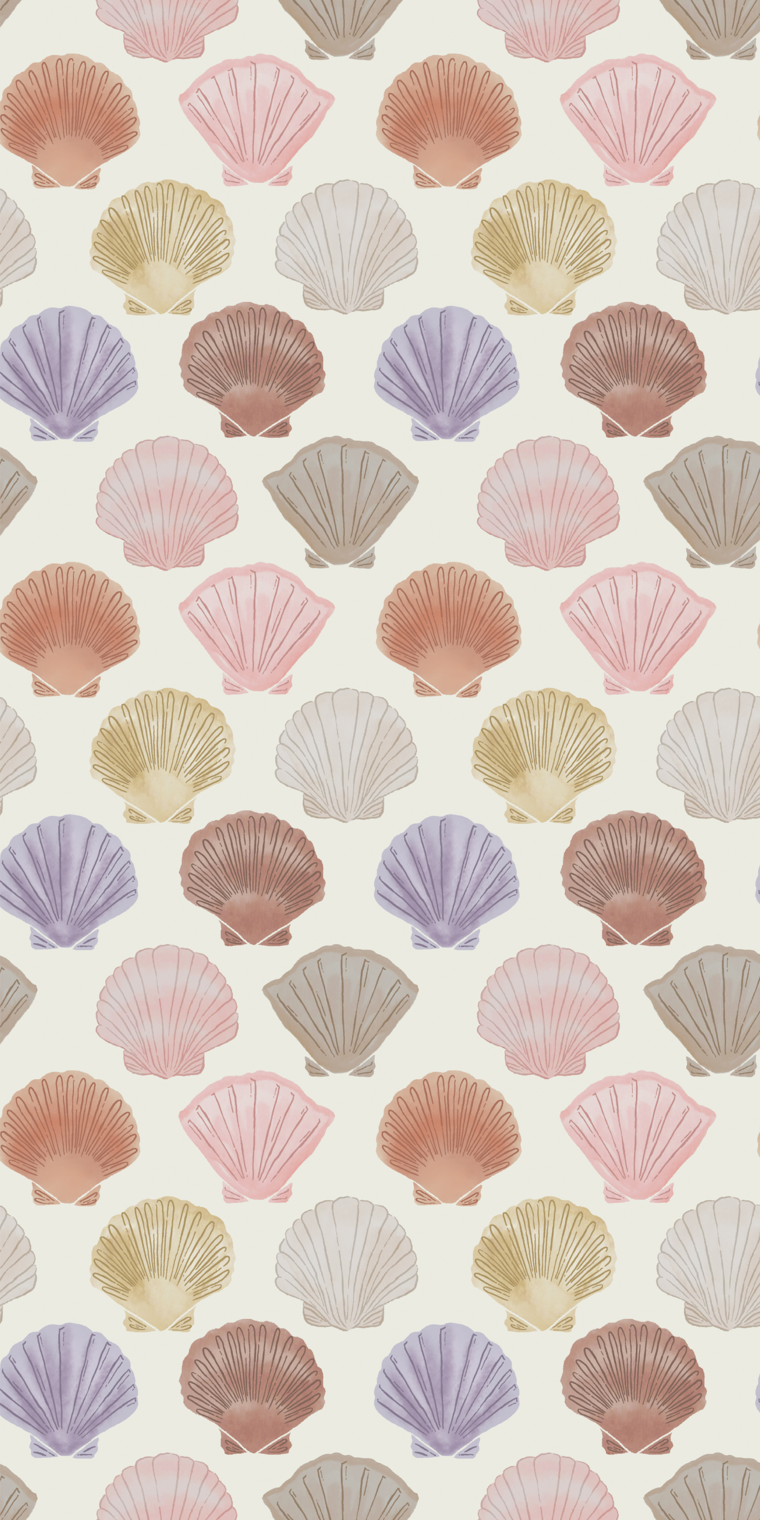 Shells in Multi color