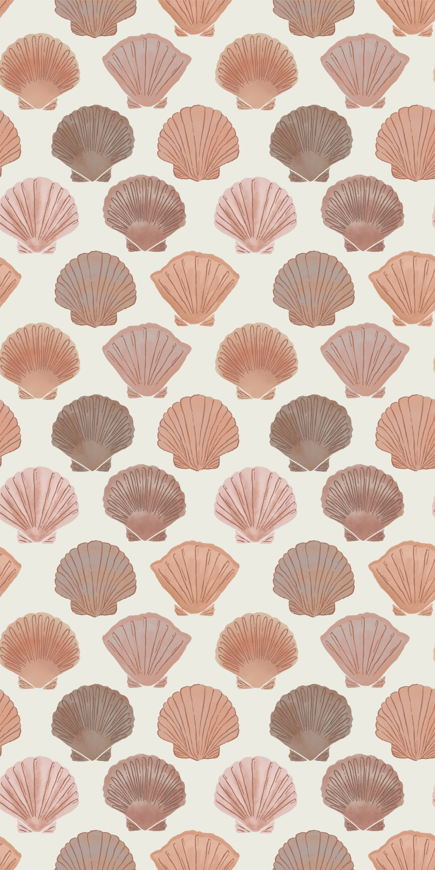 Shells in Orange color