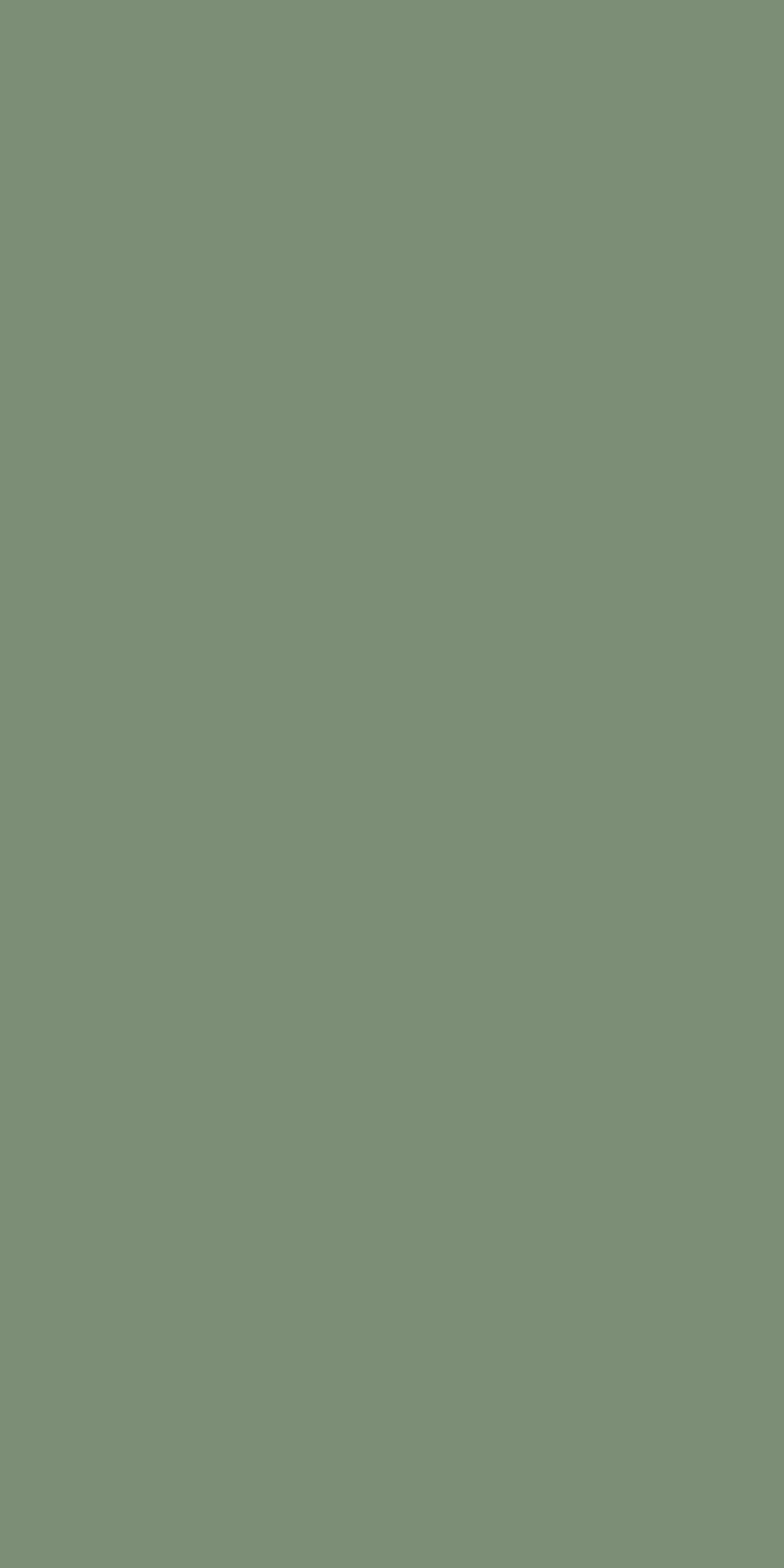 Sage Green in Sage Green color