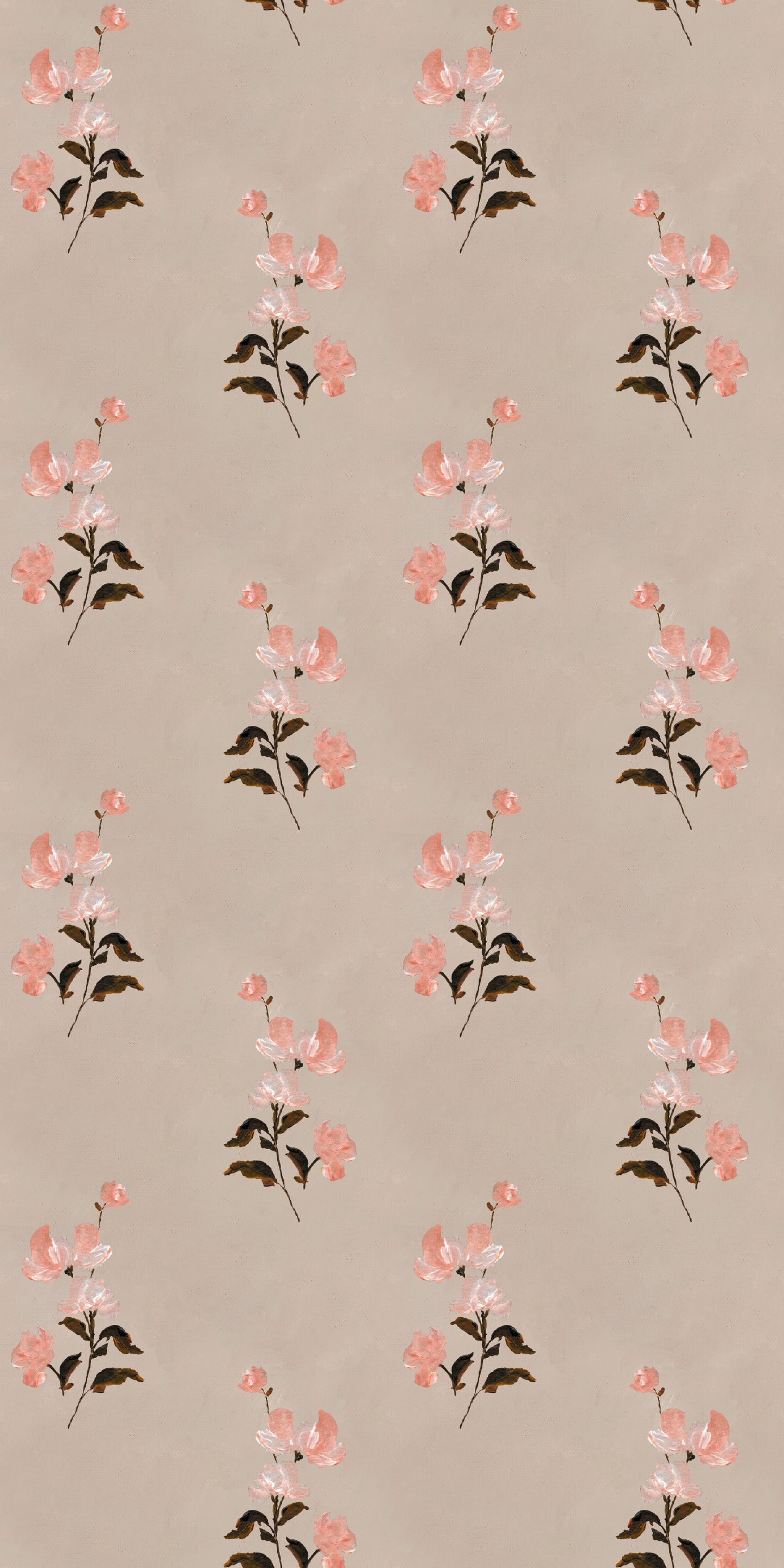 Spring Blooms