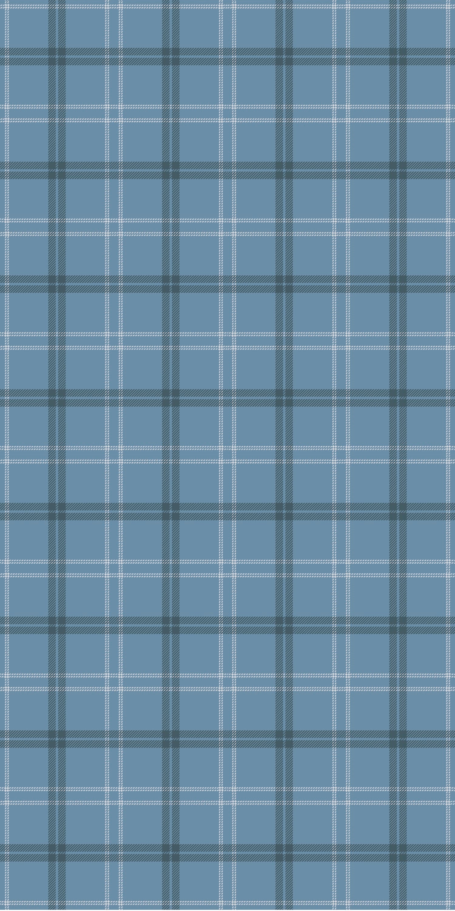 Ticking Plaid in Denim color