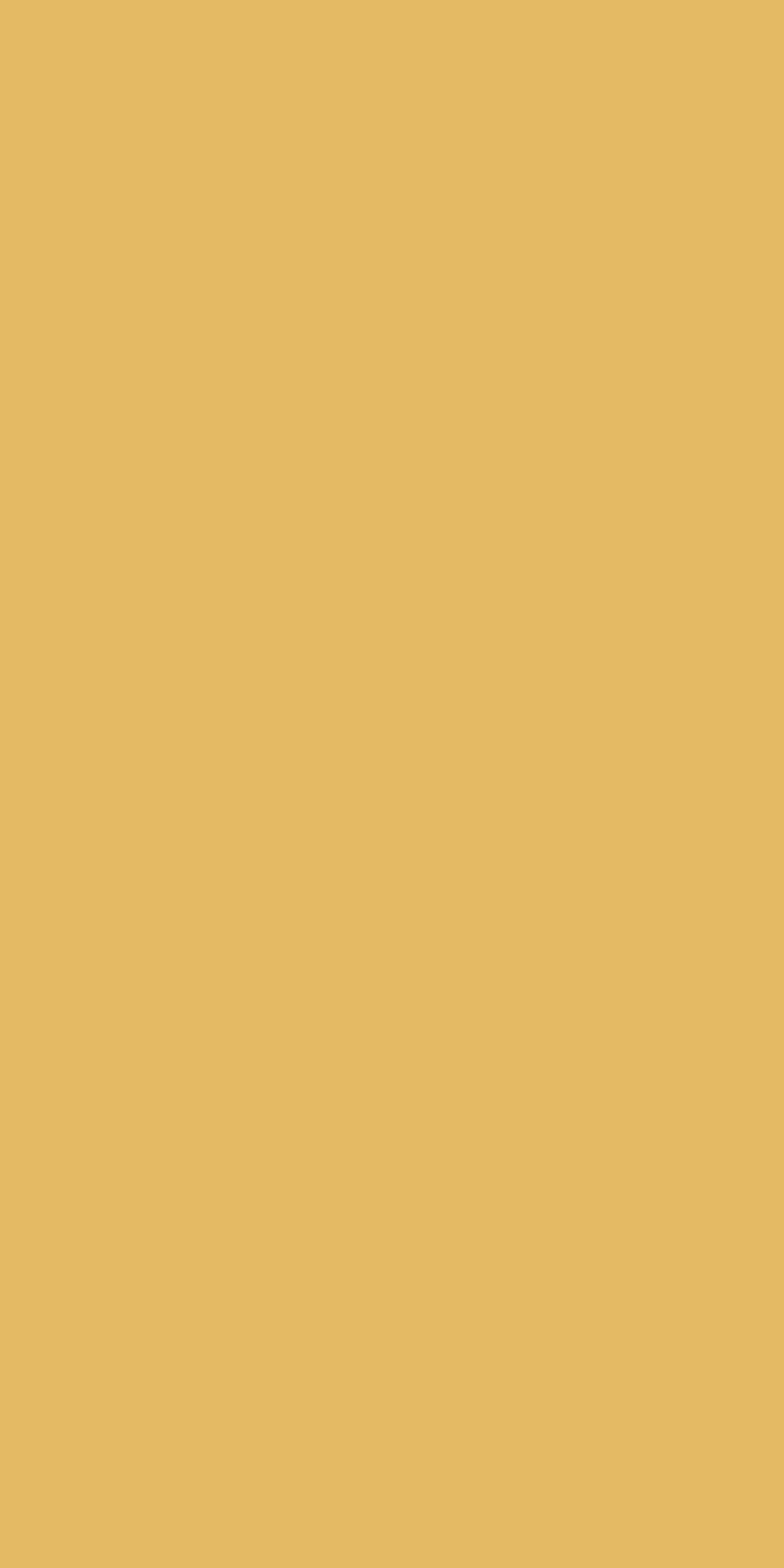 Tuscan Sun in Tuscan Sun color
