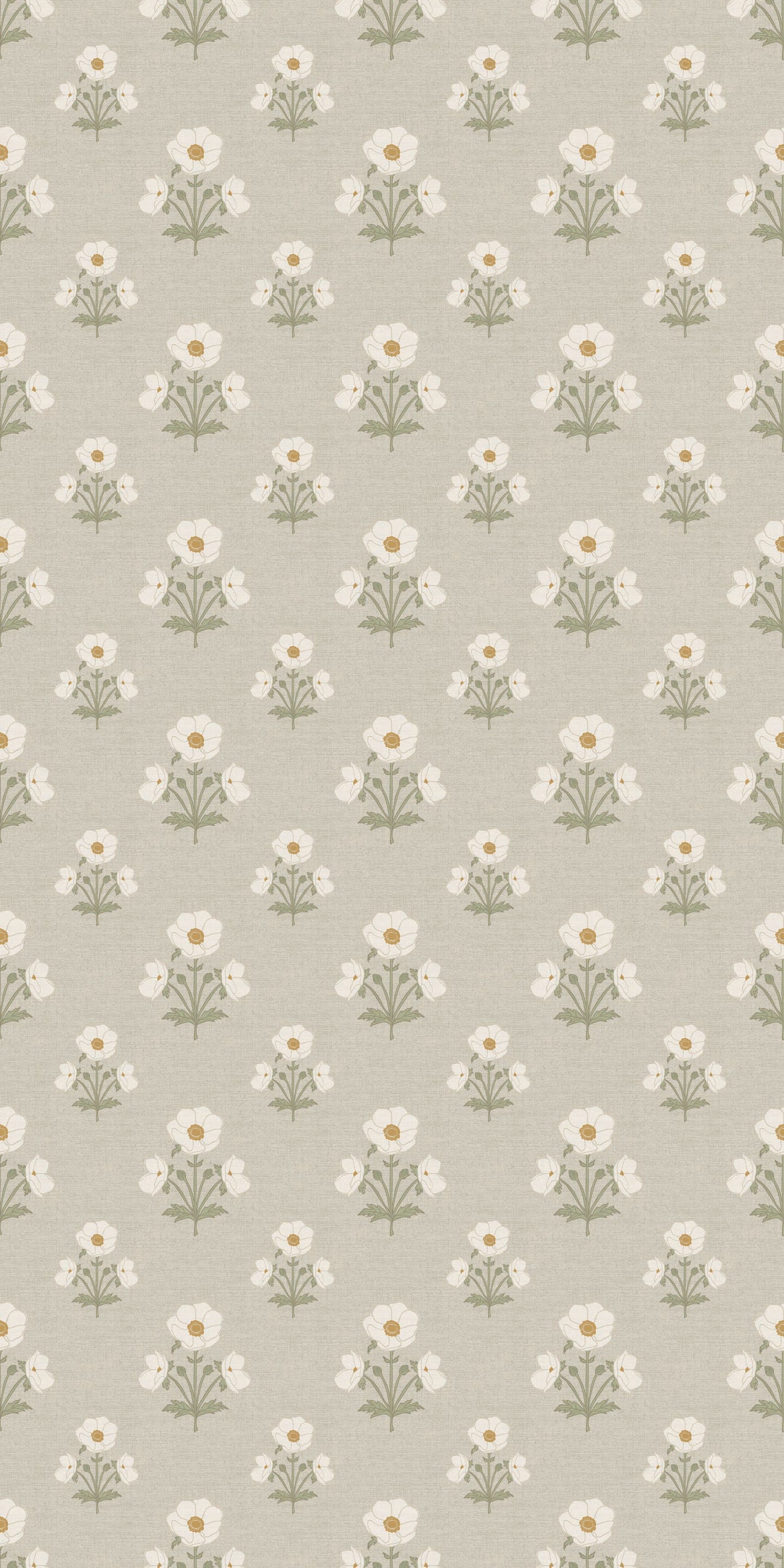 Windflower