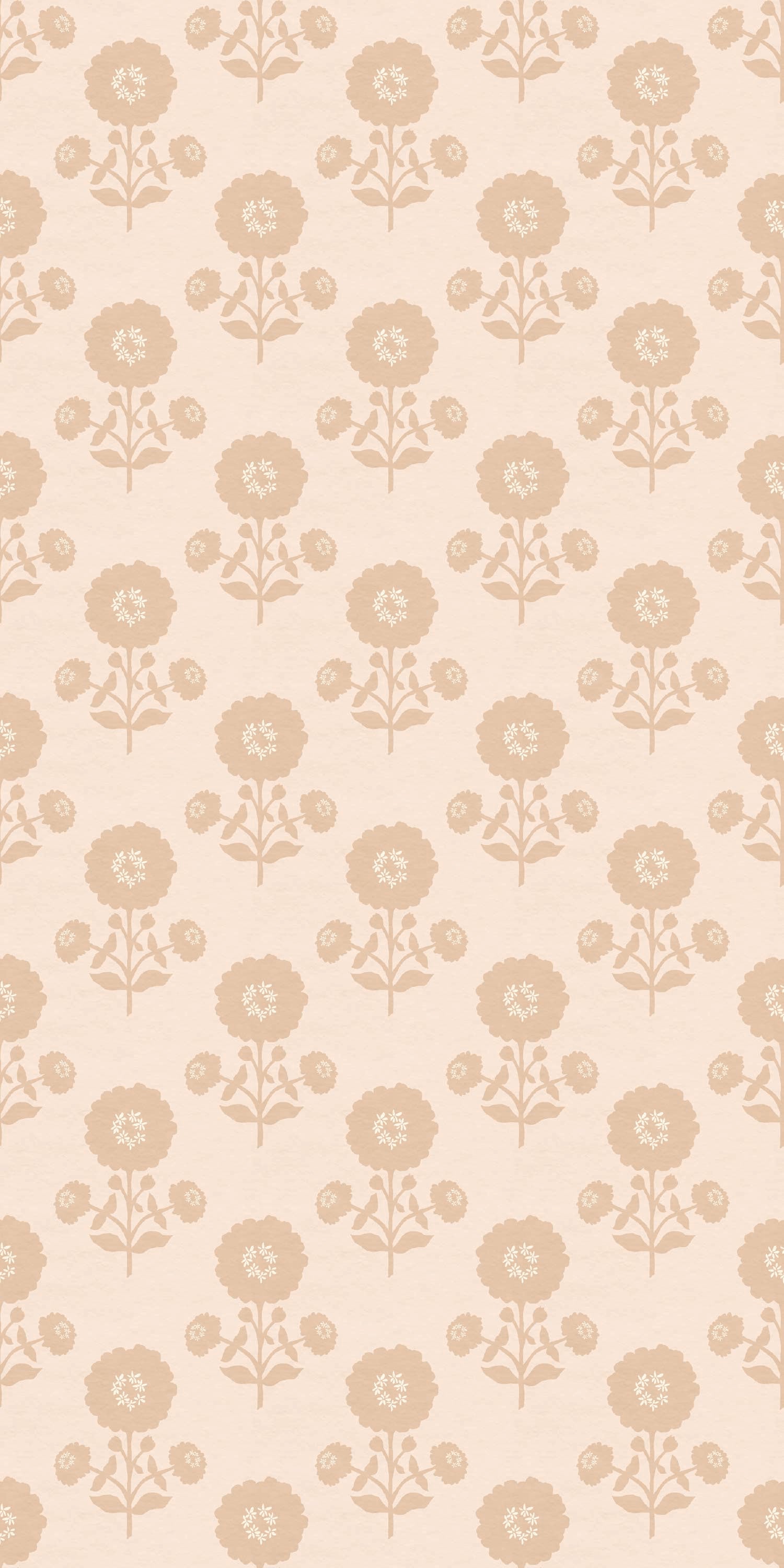 Zinnia in Blush color