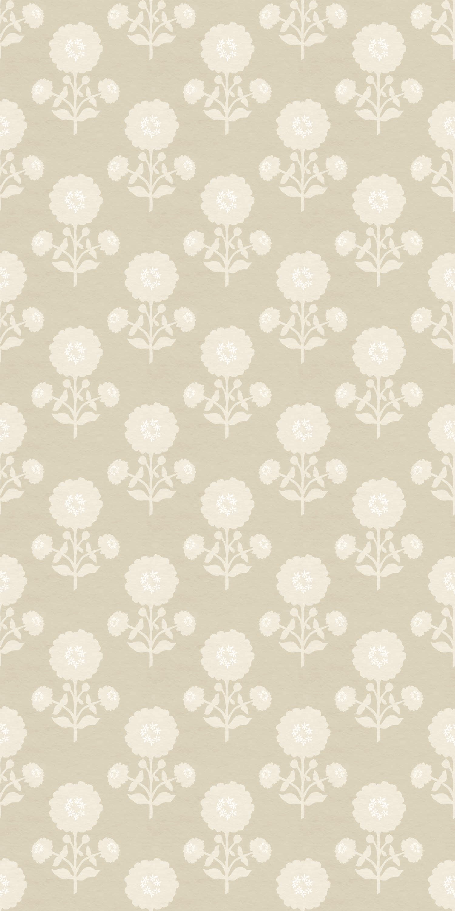 Zinnia in Tan color