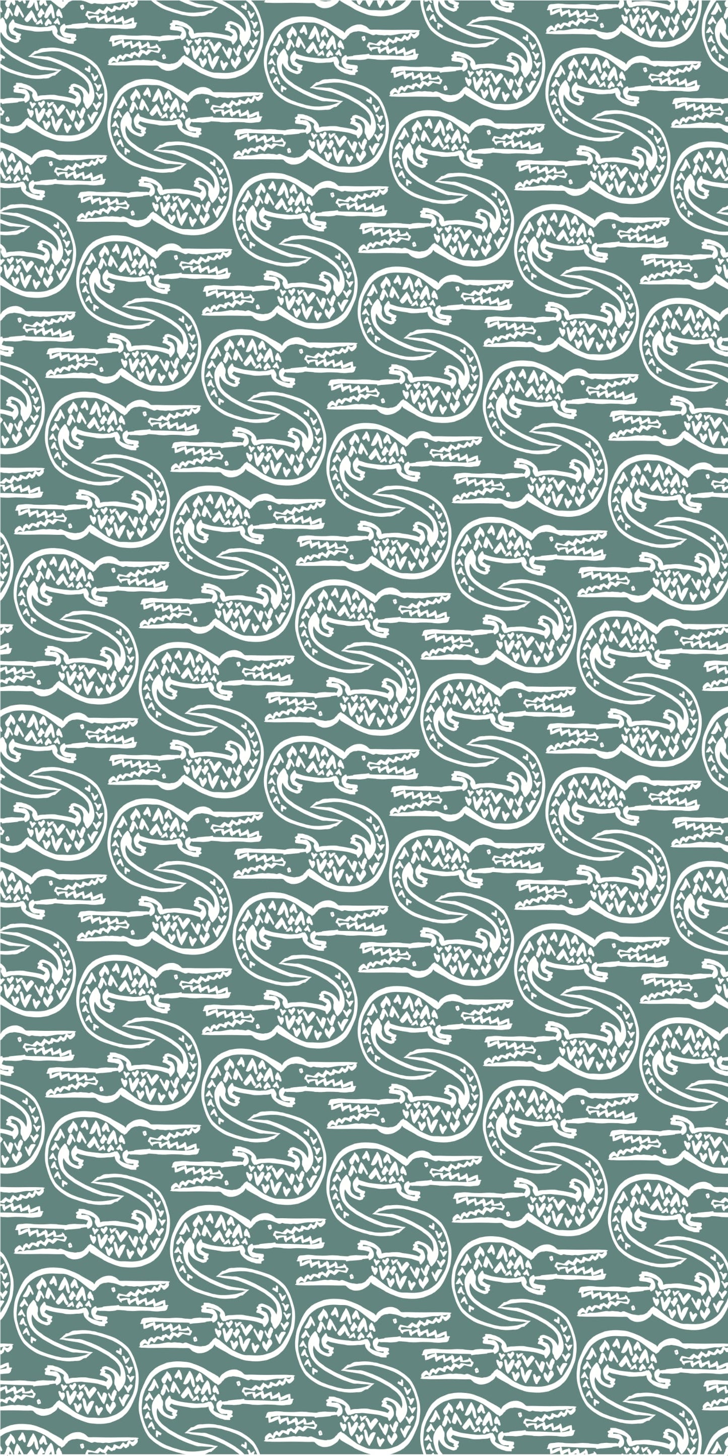 Alligator
