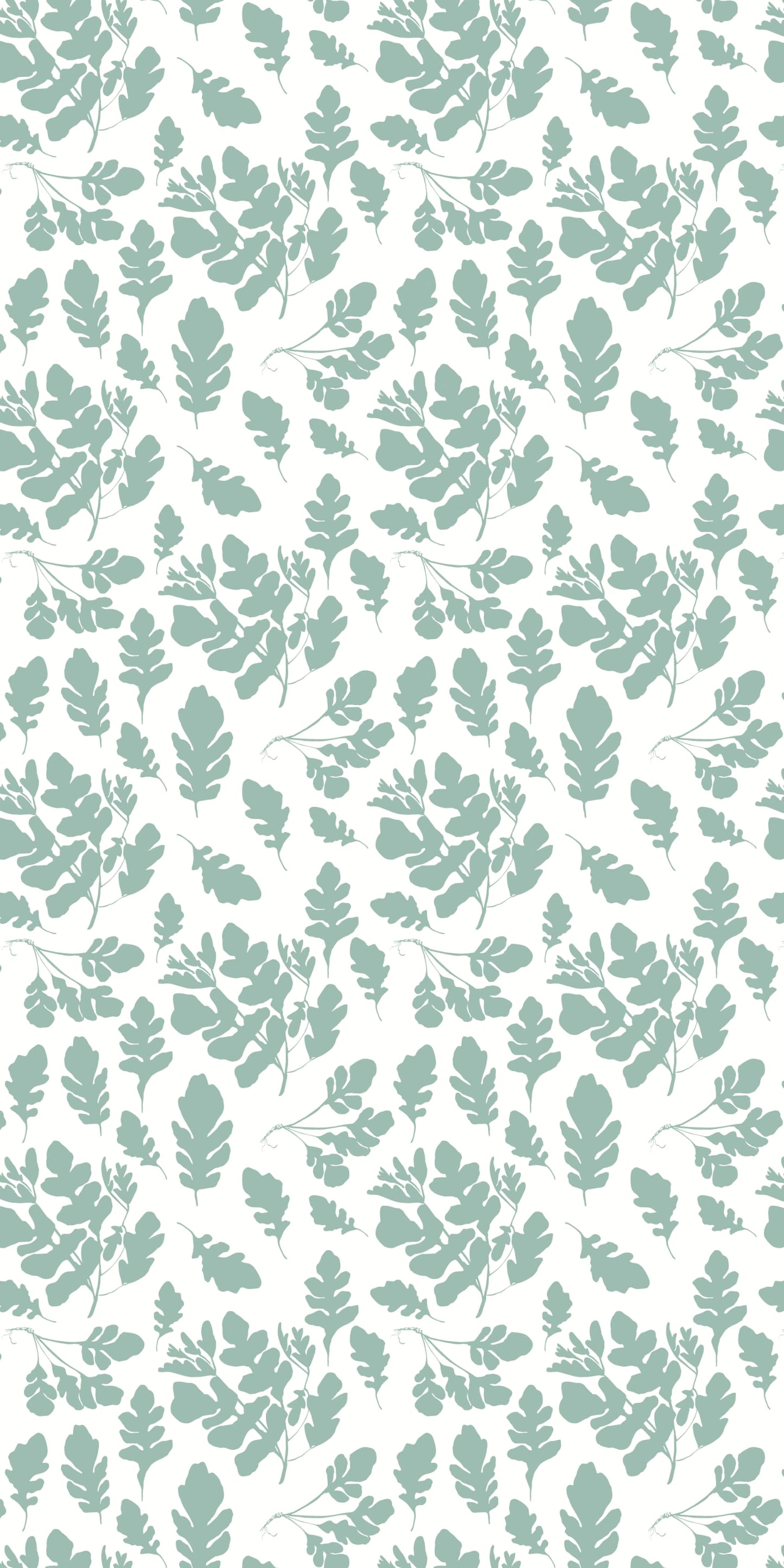 Arugula