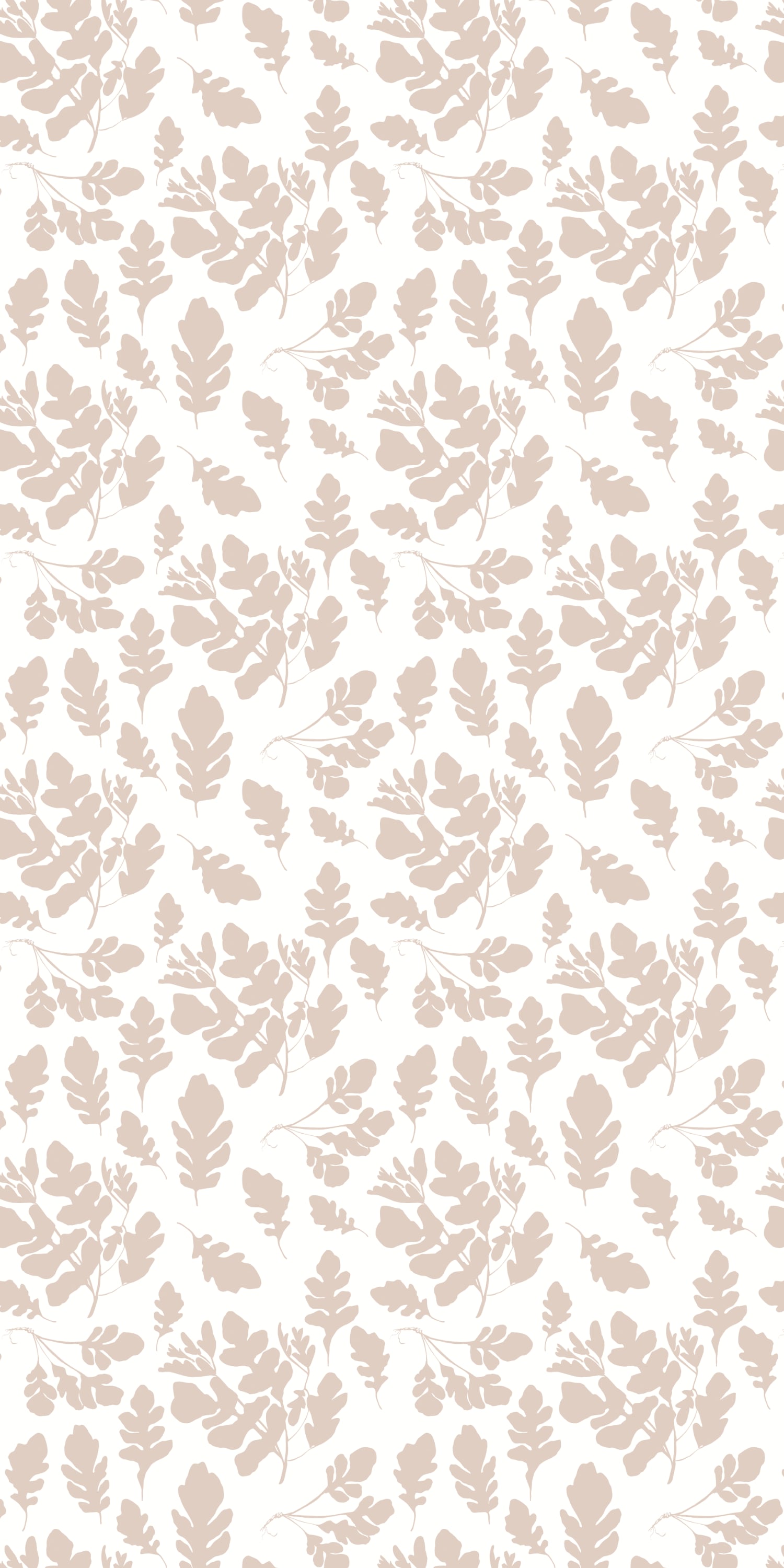 Arugula in Blush color