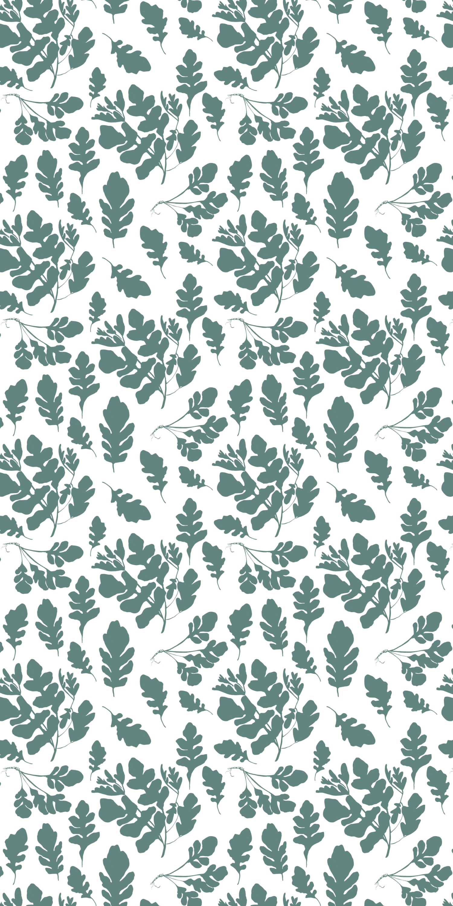 Arugula in Spruce color