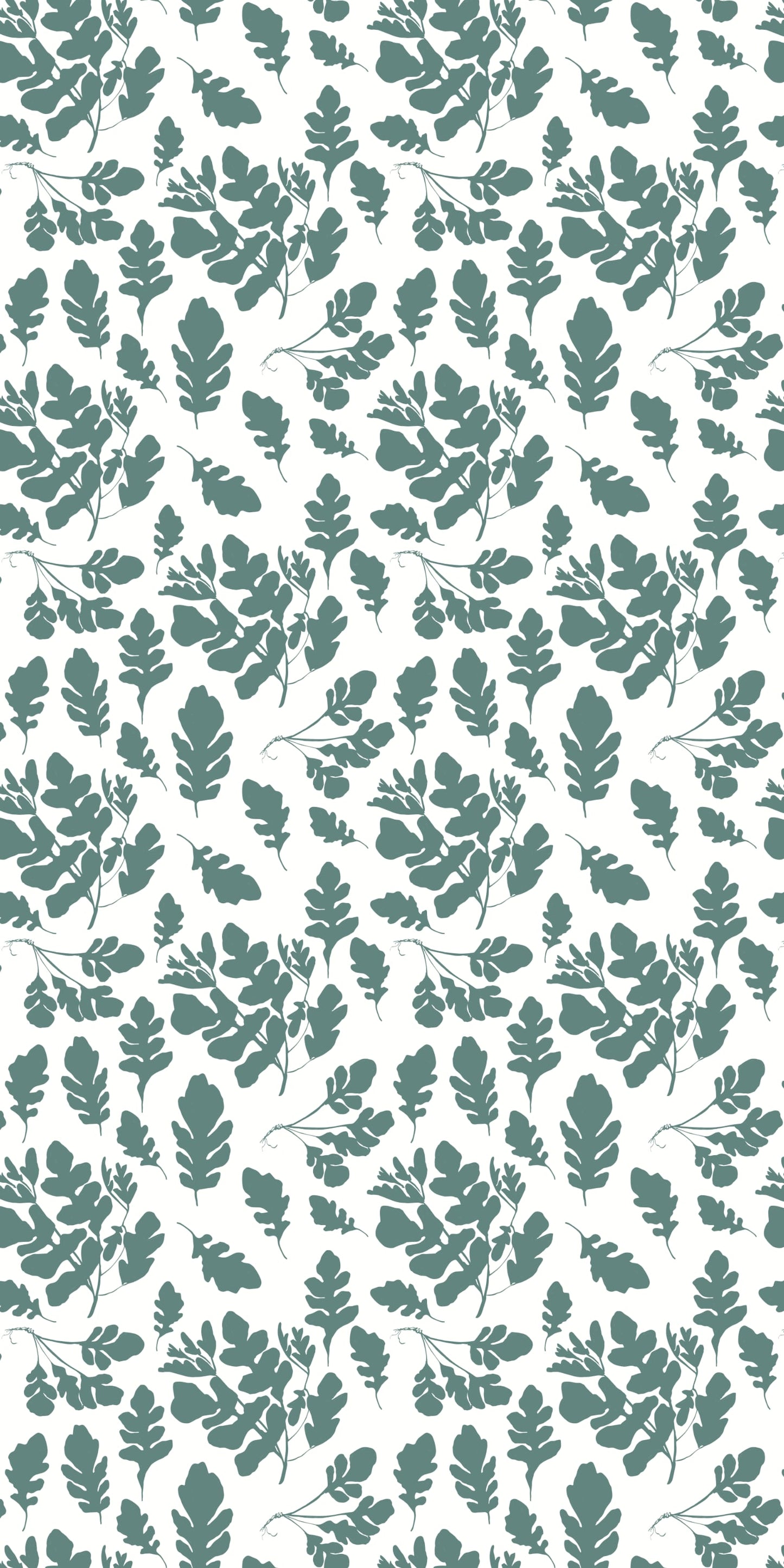 Arugula