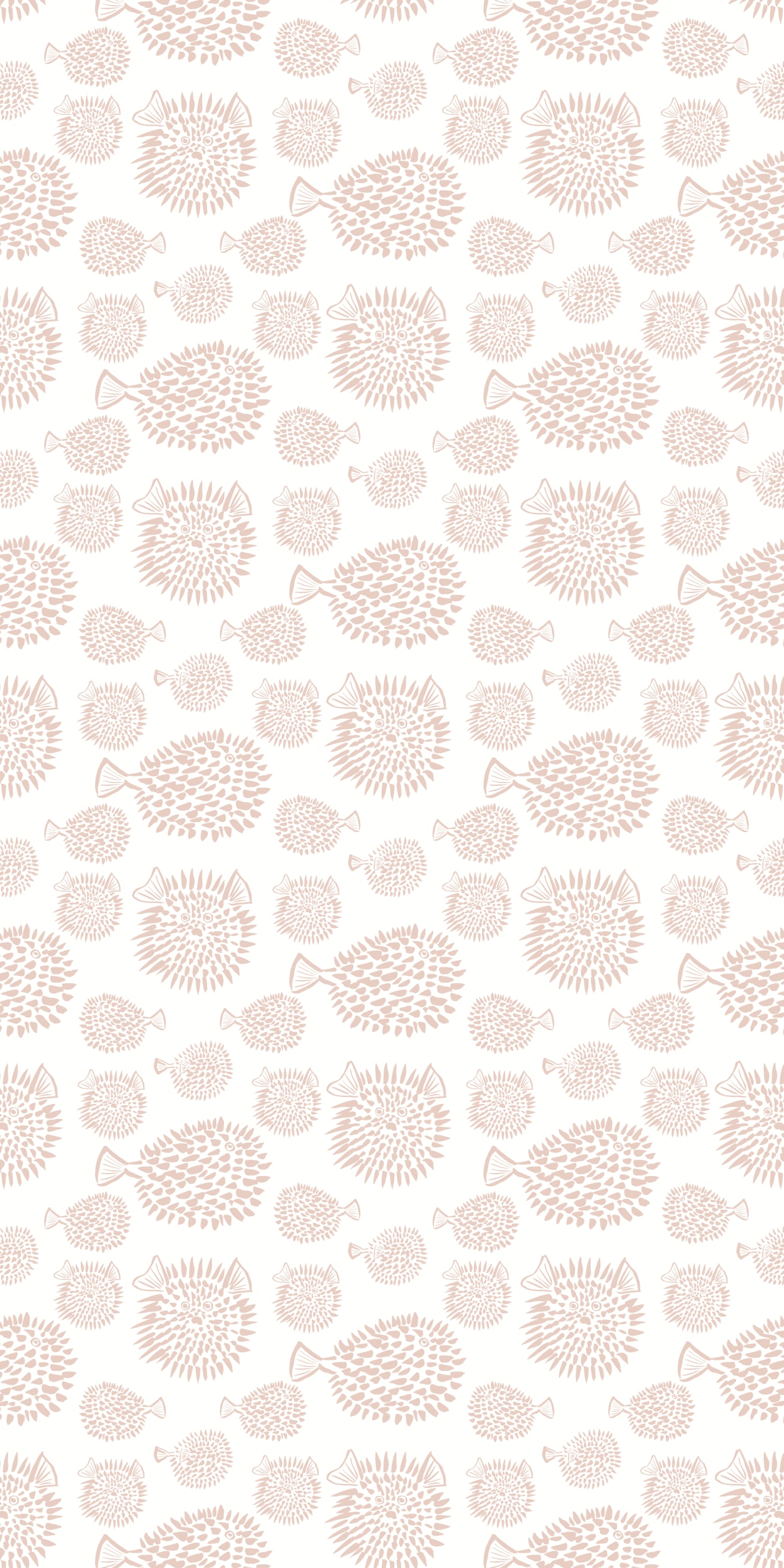 Blowfish in Blush color