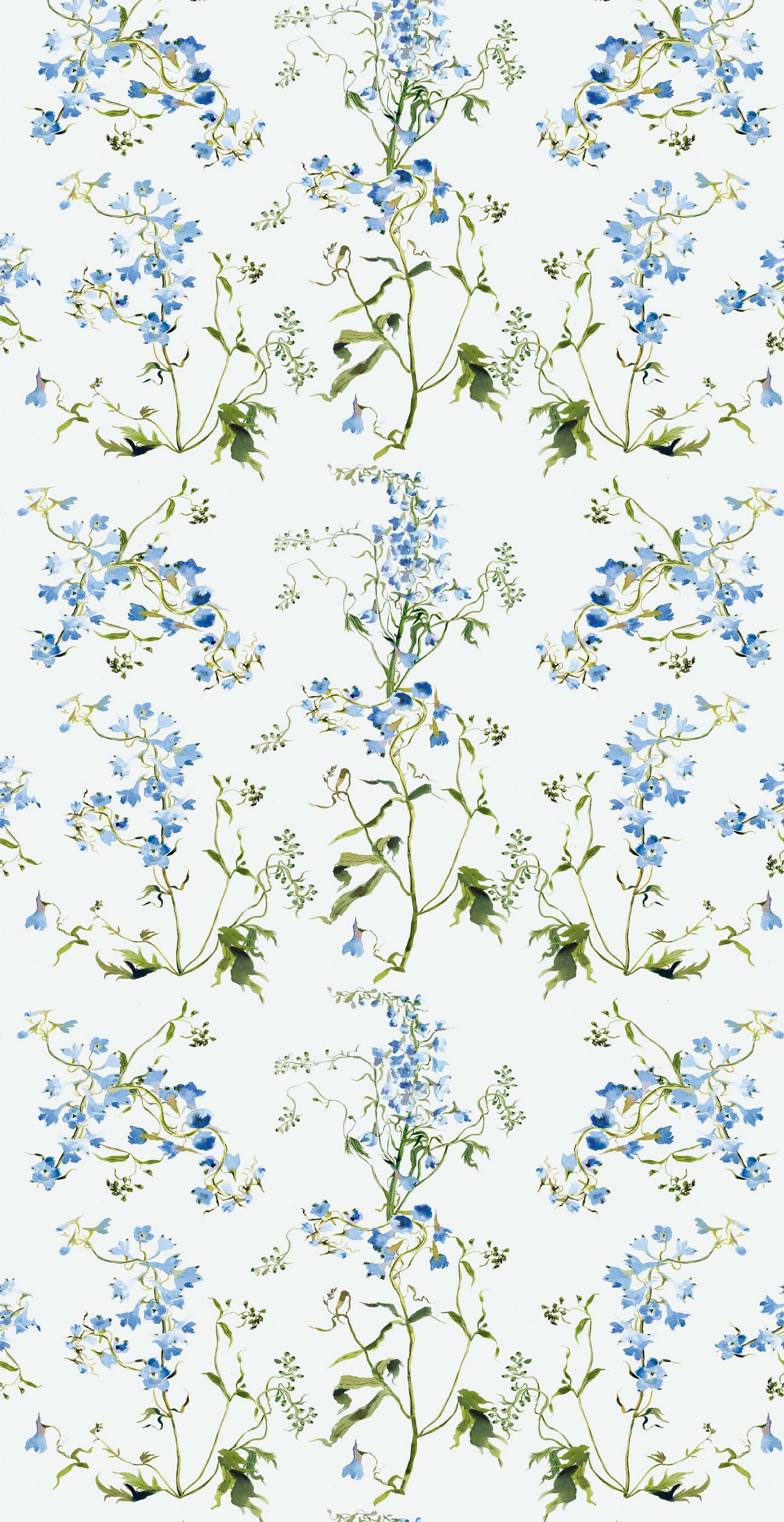 Delphinium in Blue color