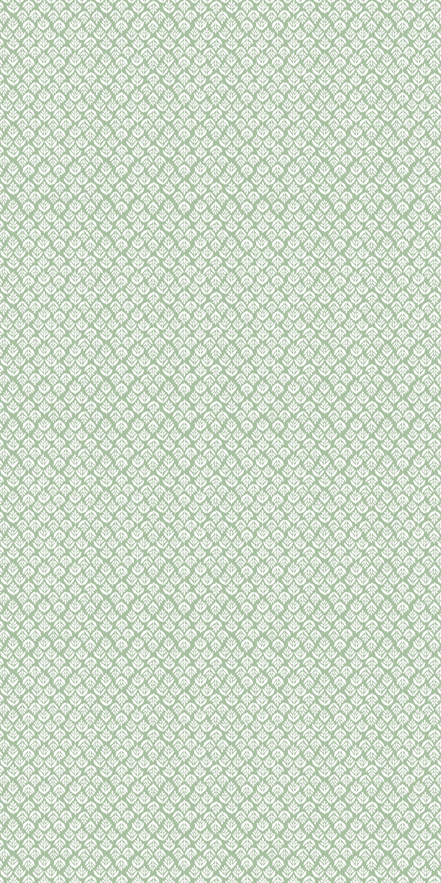 Jaipur in Minty color