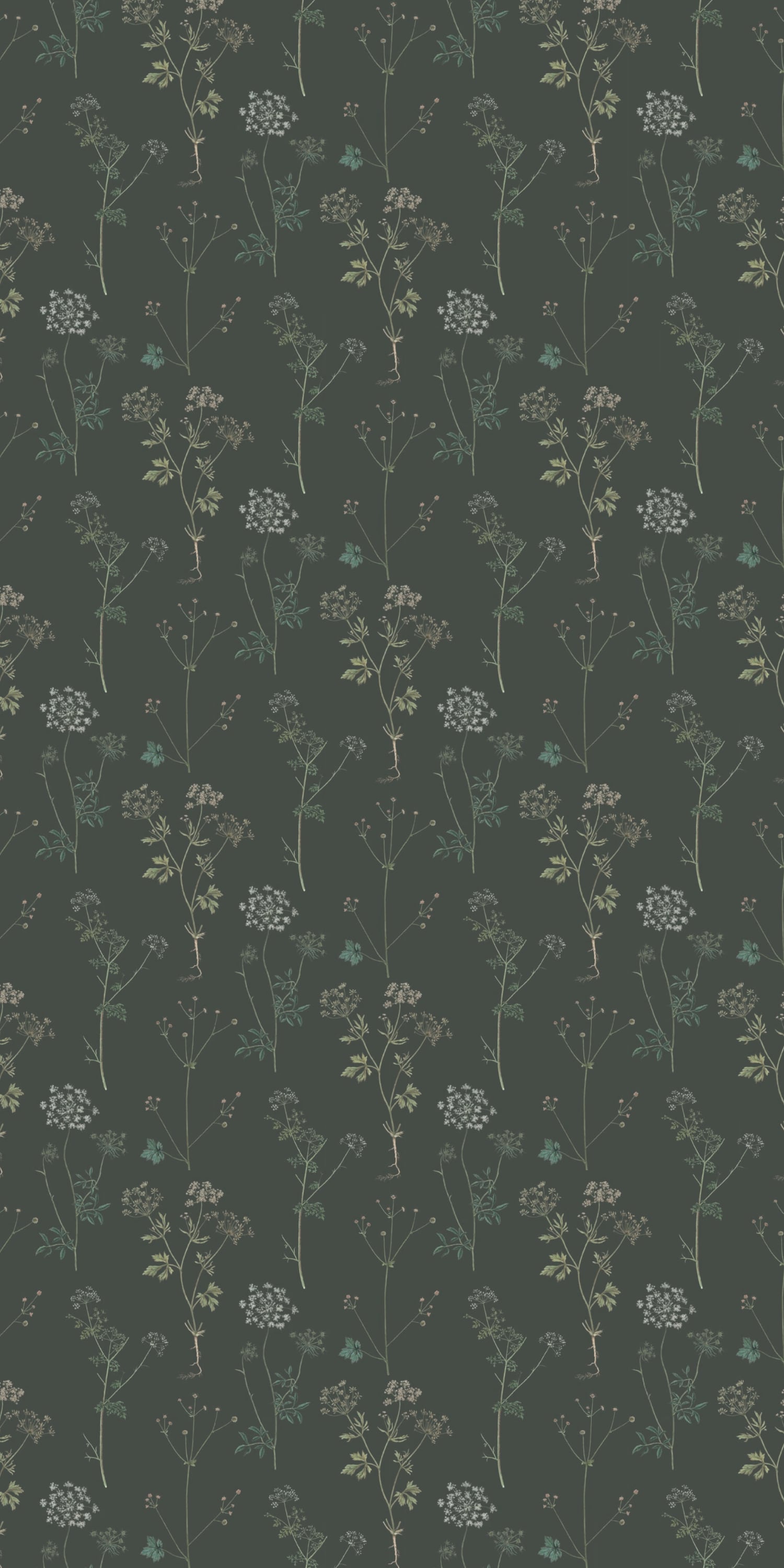 Lace in Evergreen color