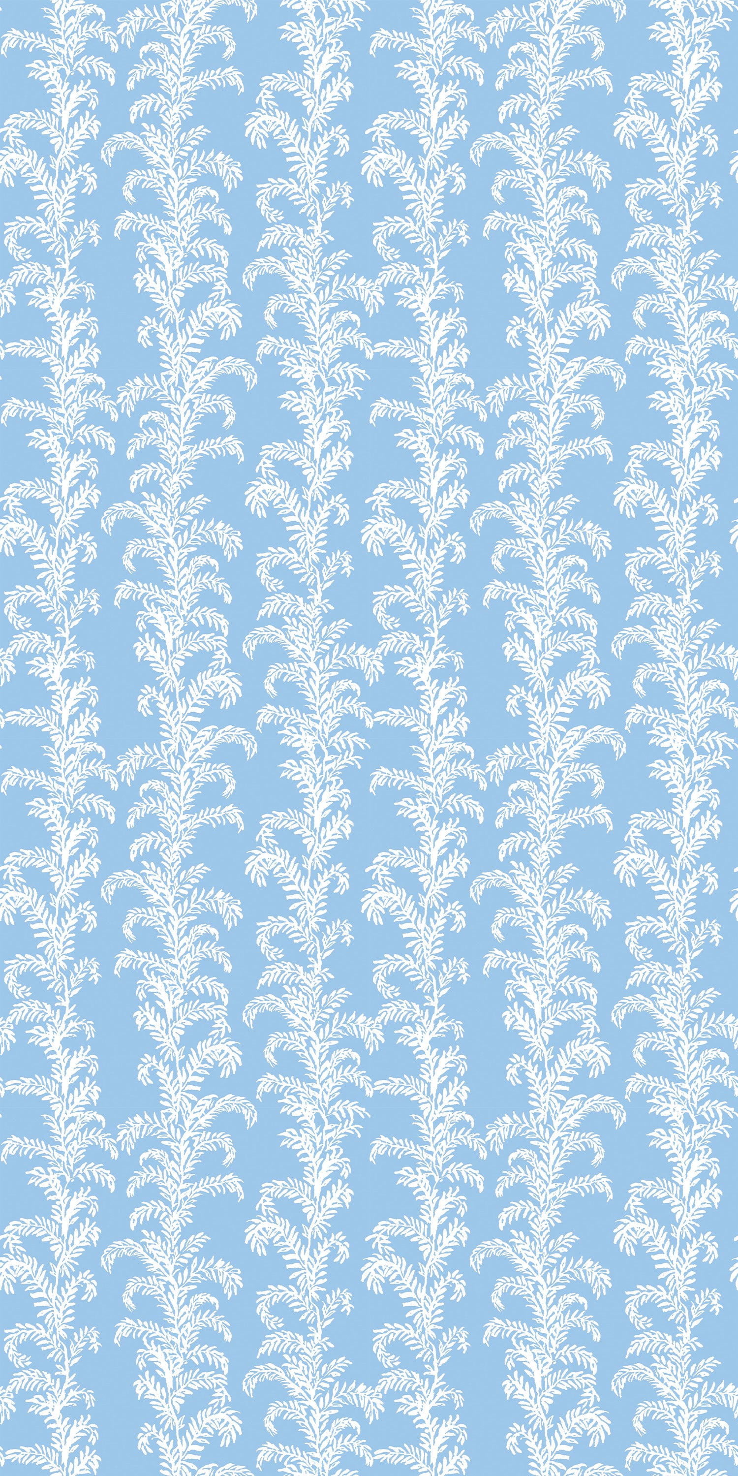 Palm Beach in Blue color