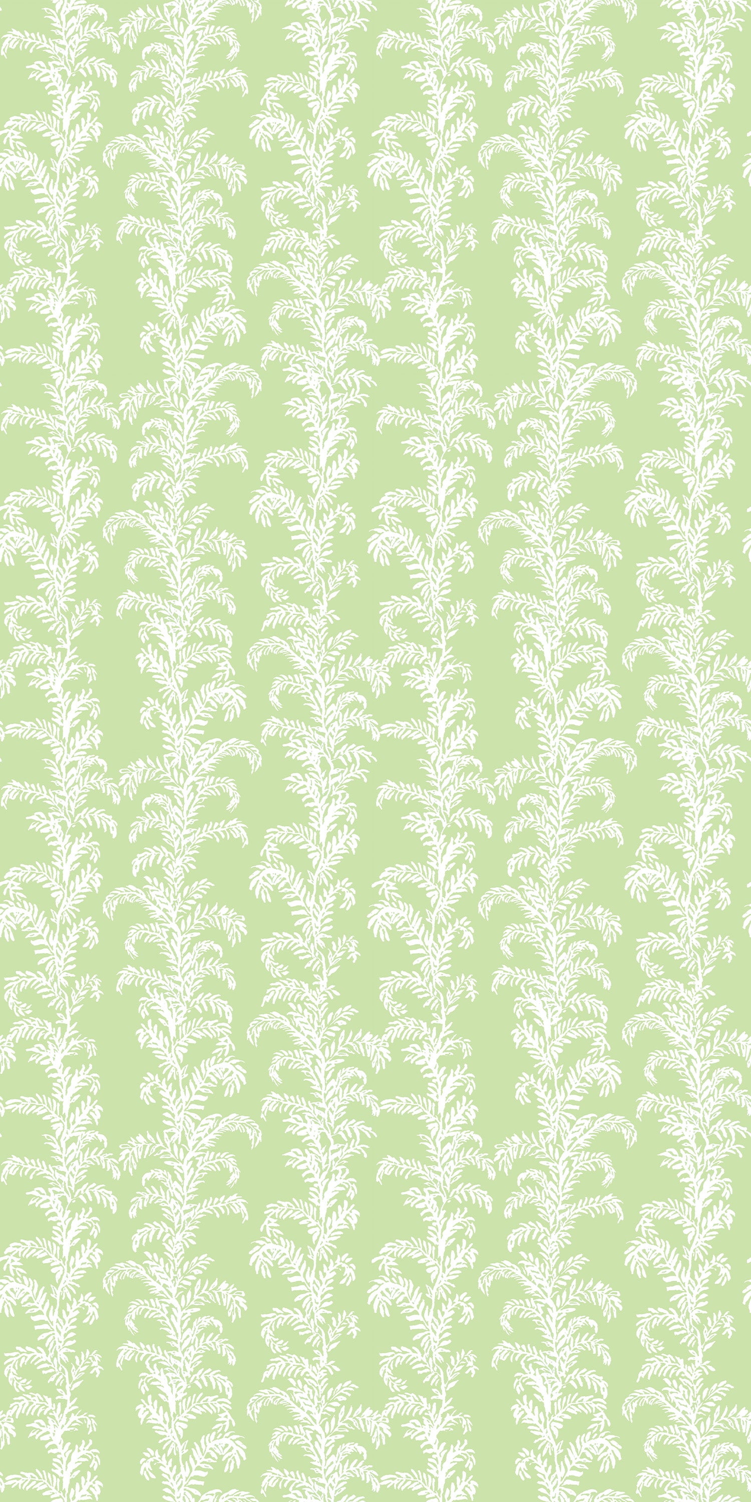 Palm Beach in Green color
