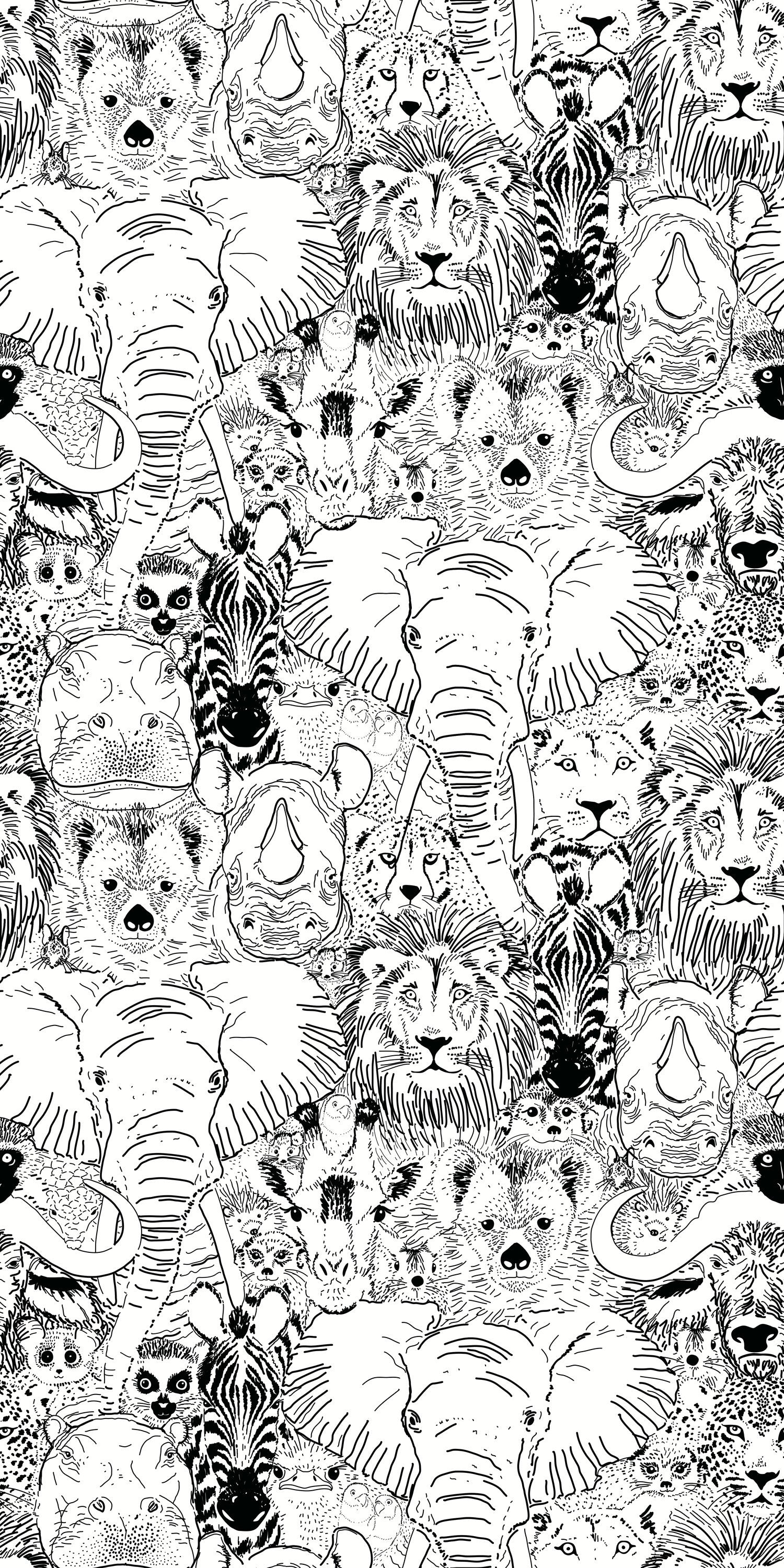 Wild Thing in Black and White color